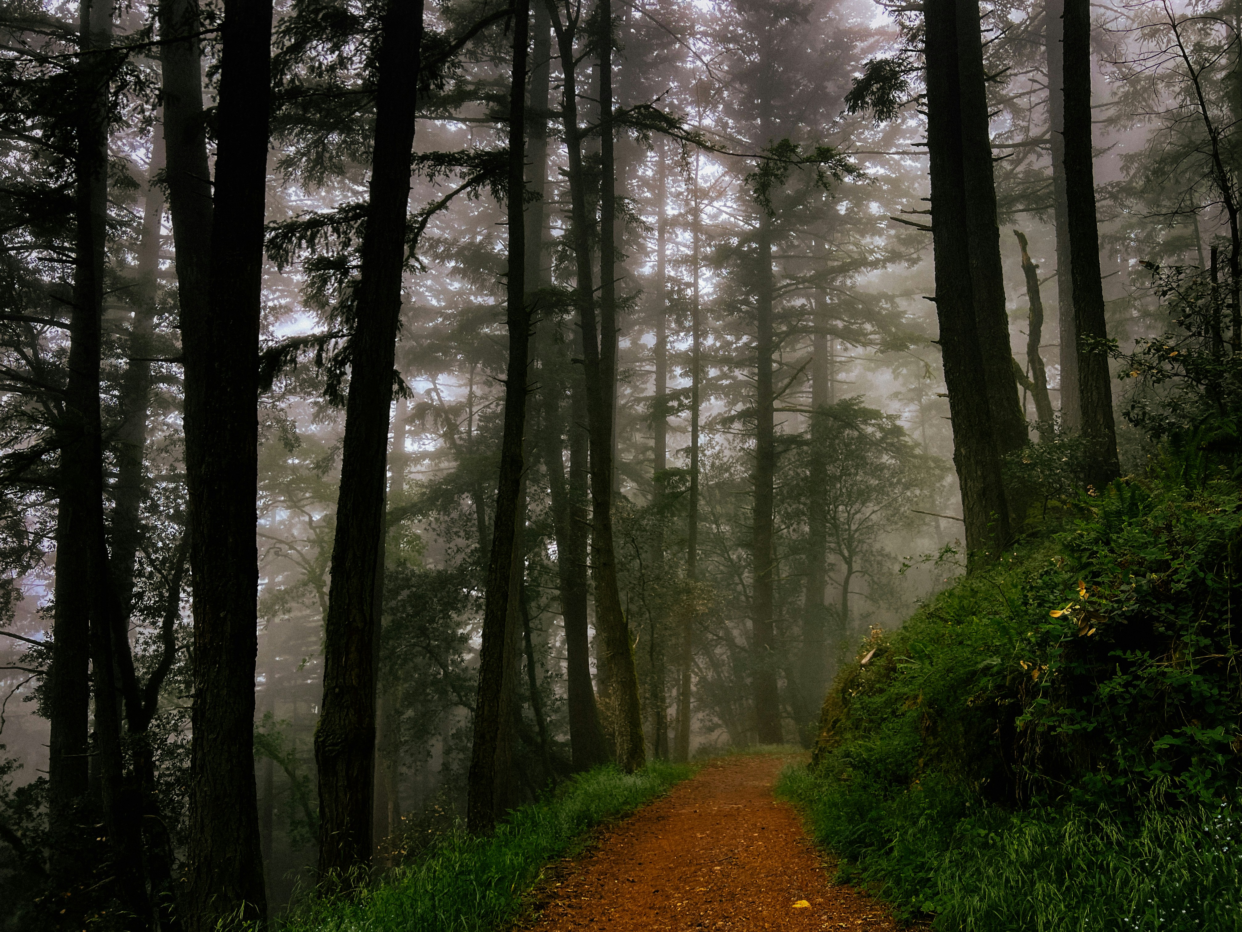 Photo by kojos_corner