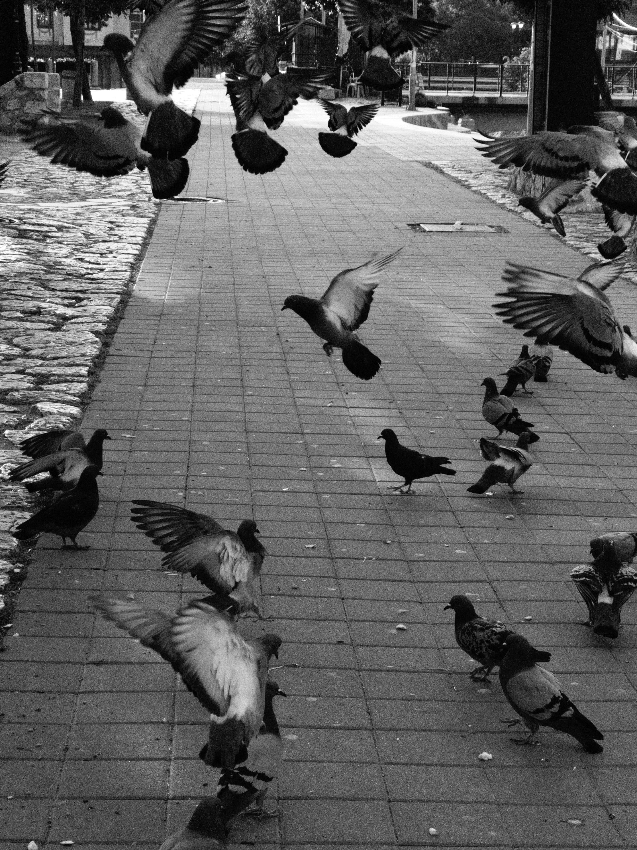 Photo by belmin_26_aljovic