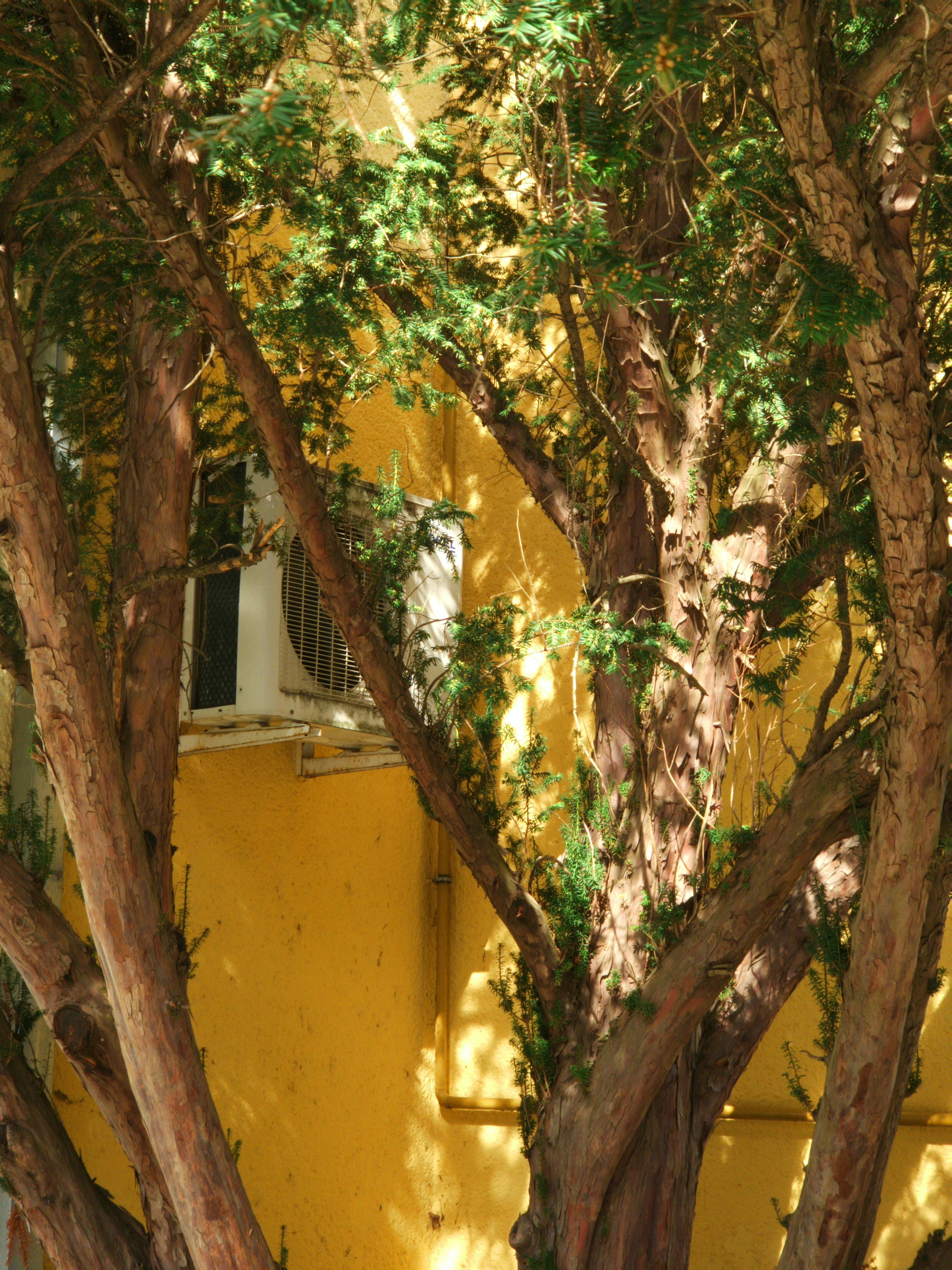 Photo by belmin_26_aljovic