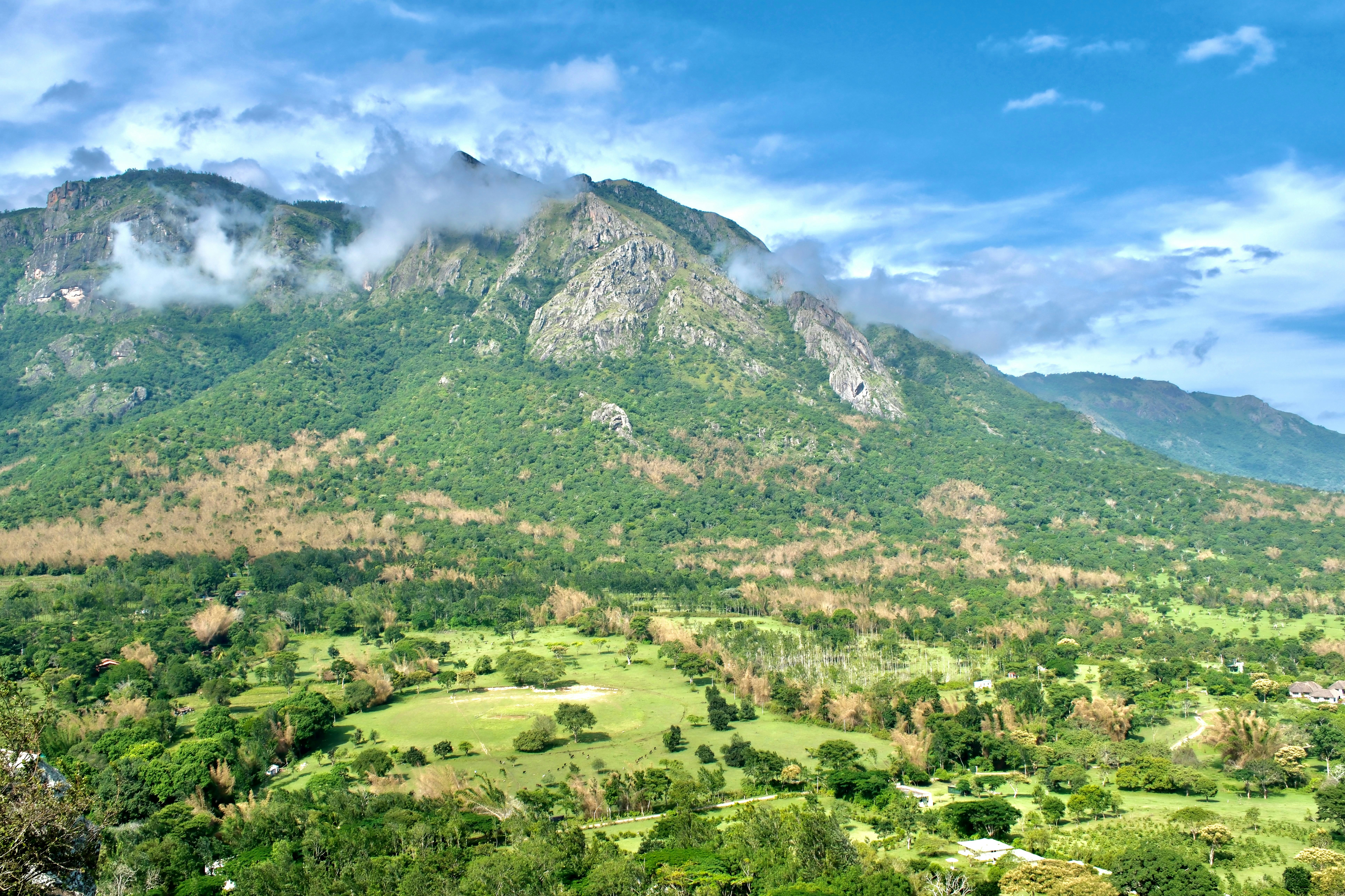 Photo by praneethgayam