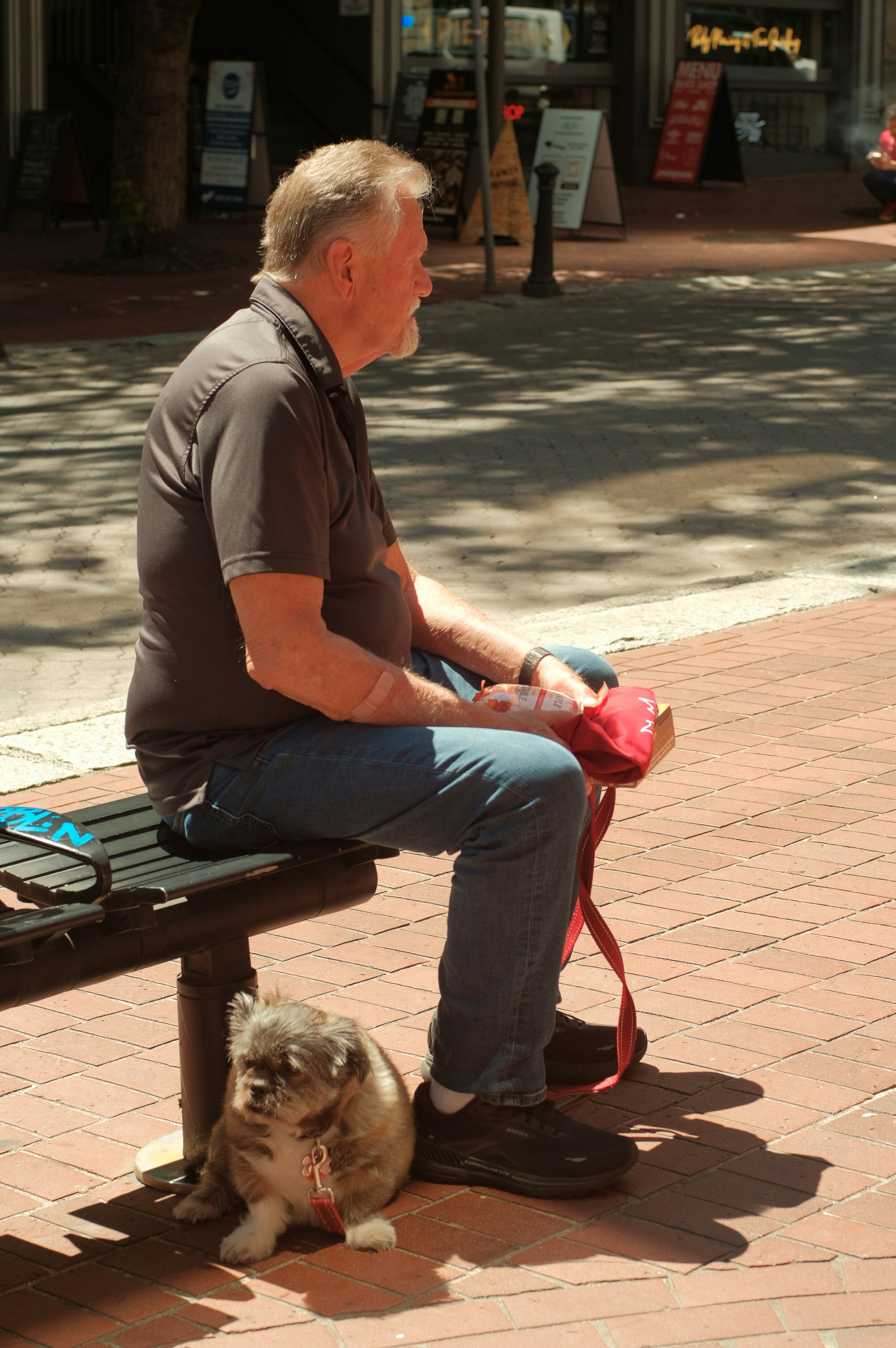 Service Dog and Handler in a Public Space