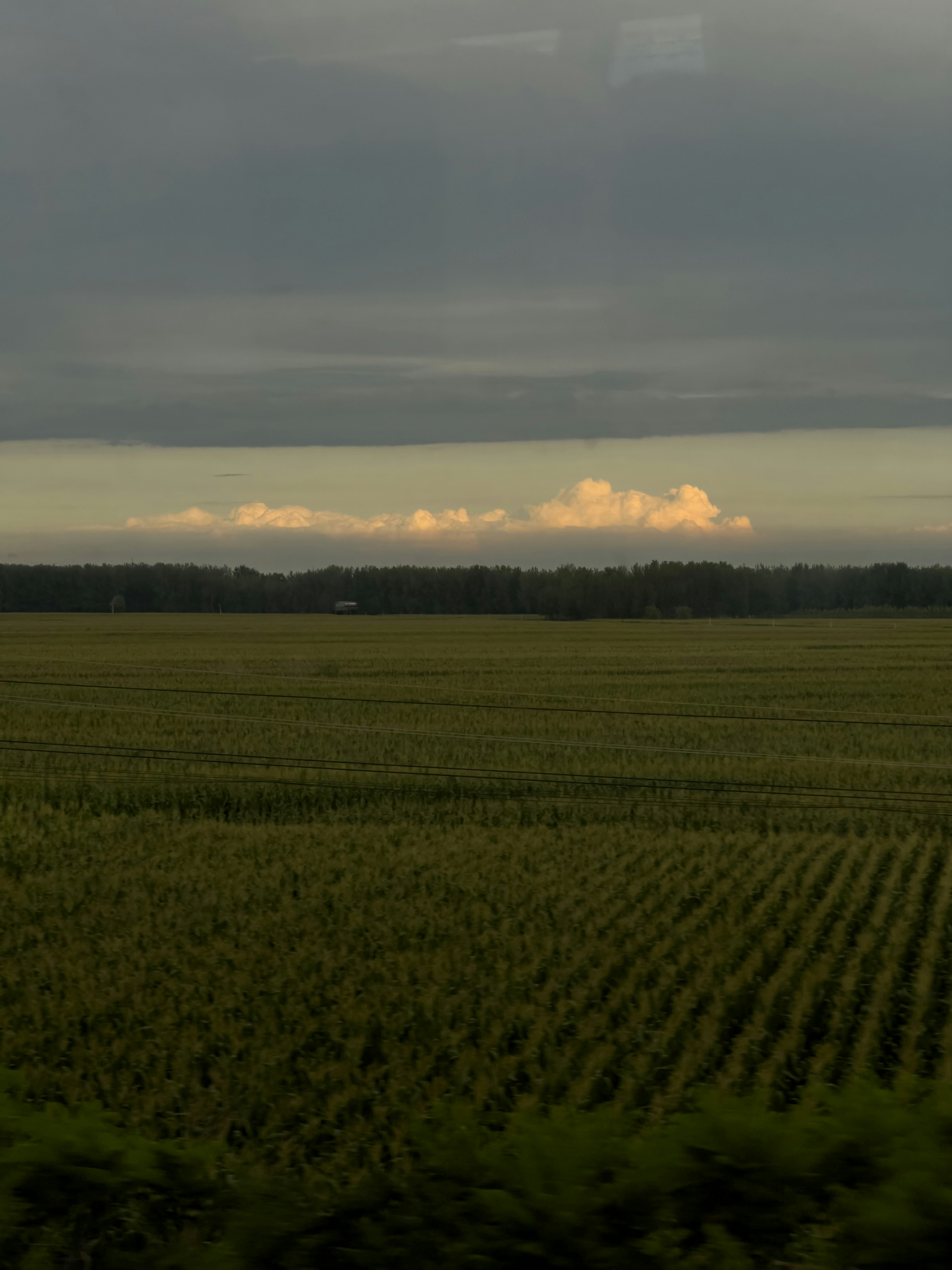 Vast green farmland at dusk, dramatic dark sky, wide open agricultural landscape, deep shadows
