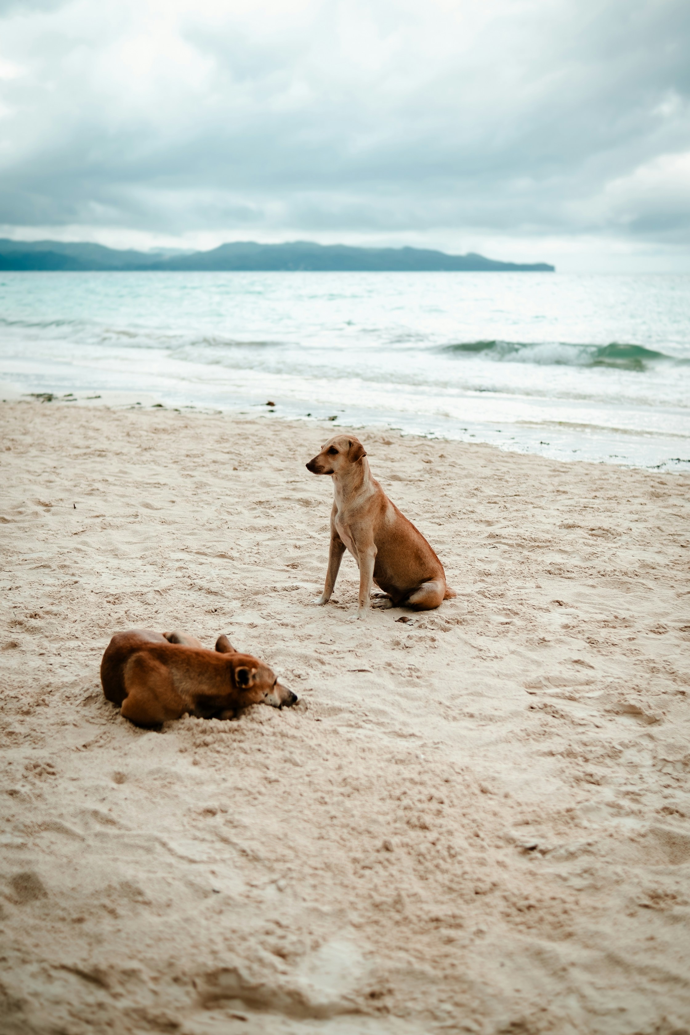 Photo by framesforyourheart