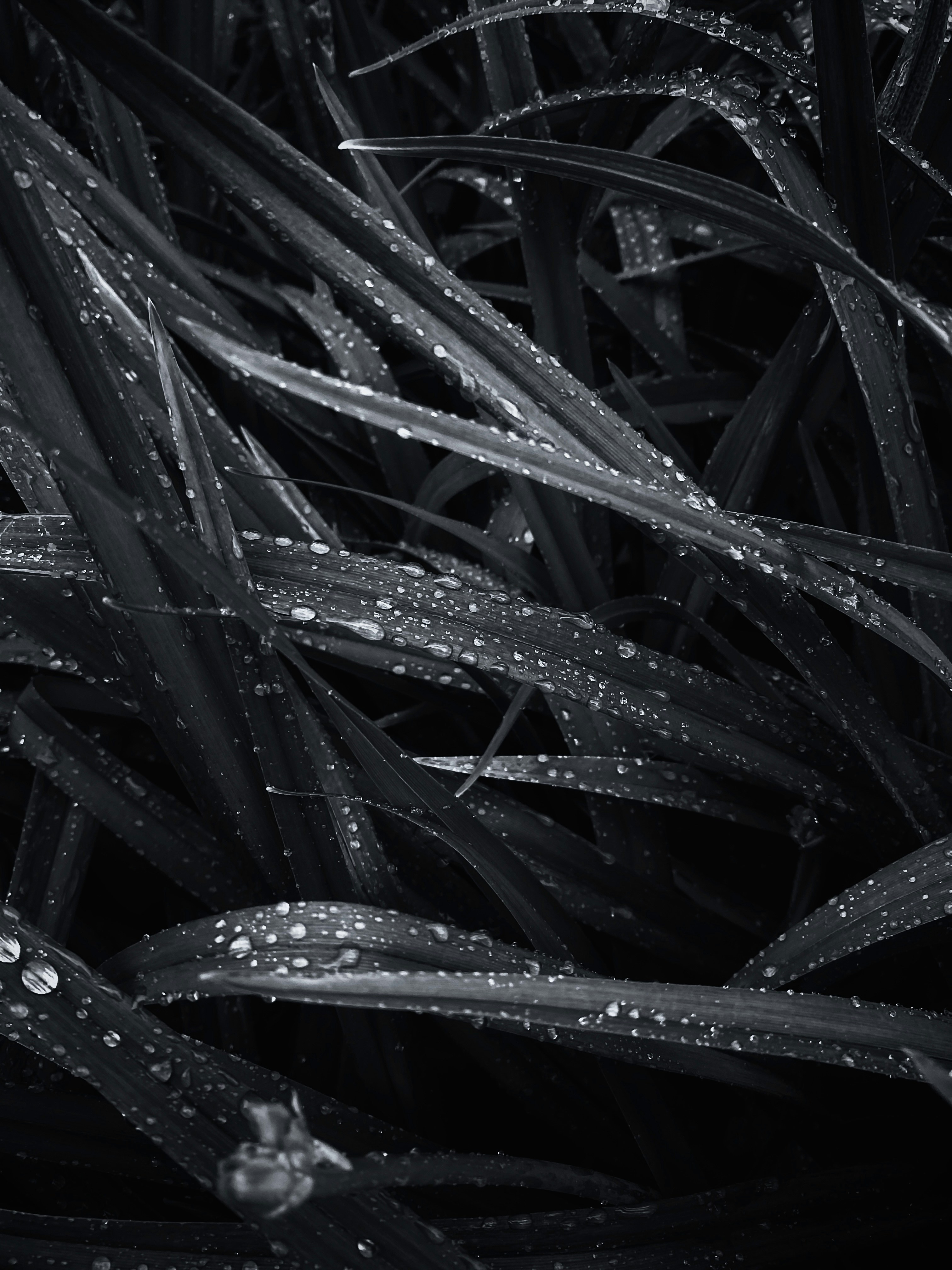 Photo by eugene_golovesov