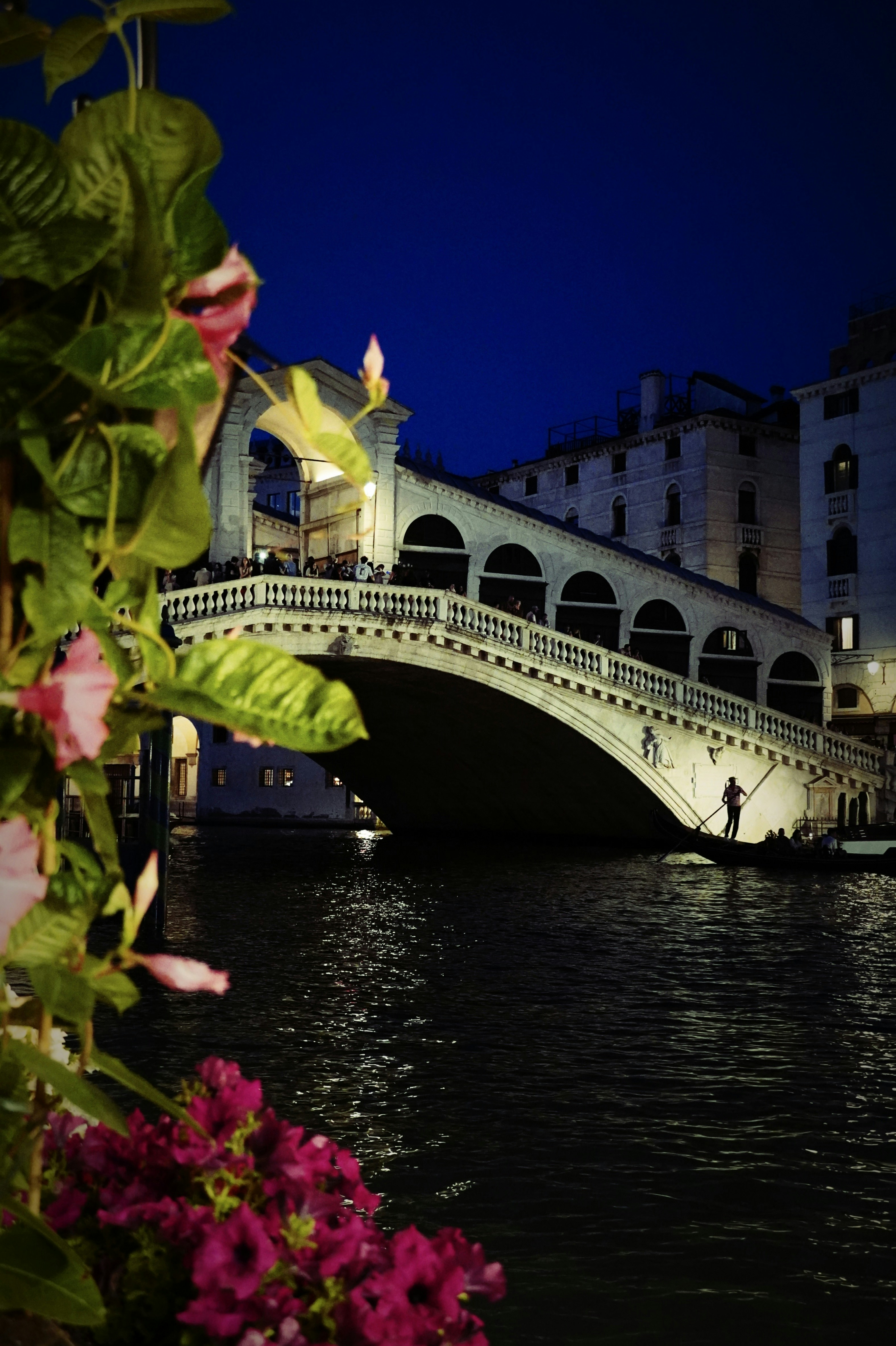 Photo by greenliustudio