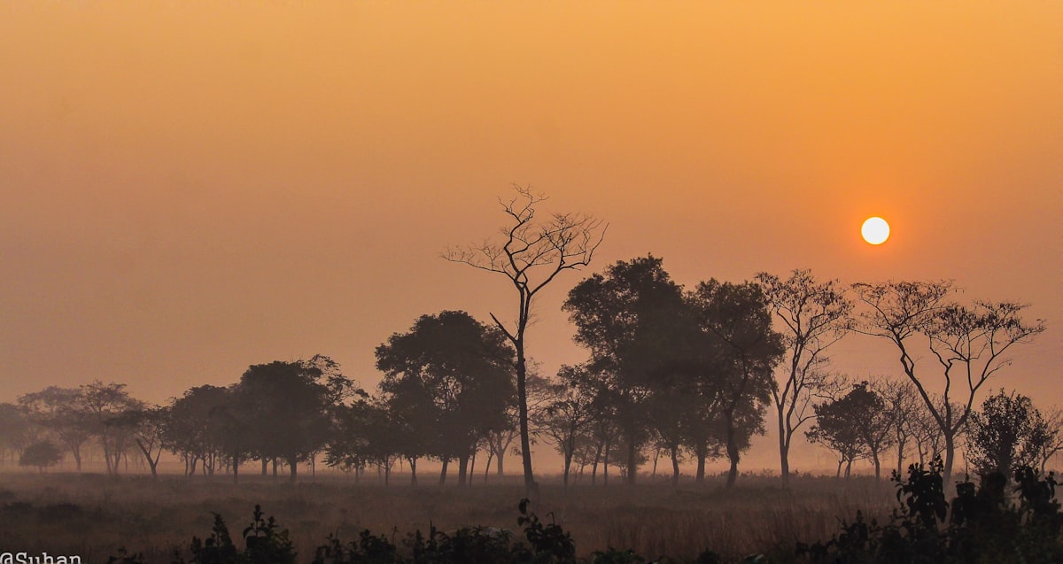 travel agency in siliguri