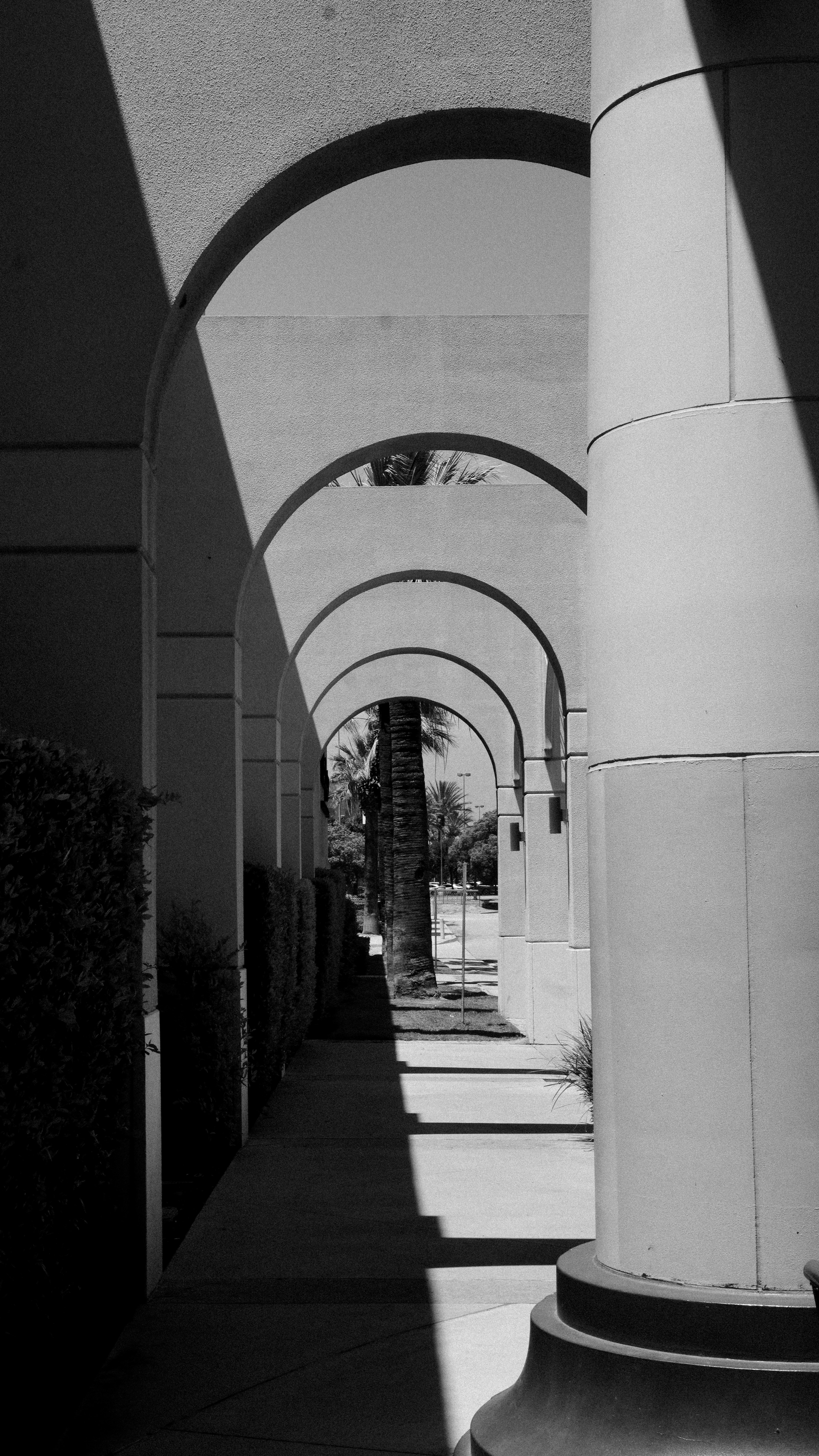 Photo by southcypress