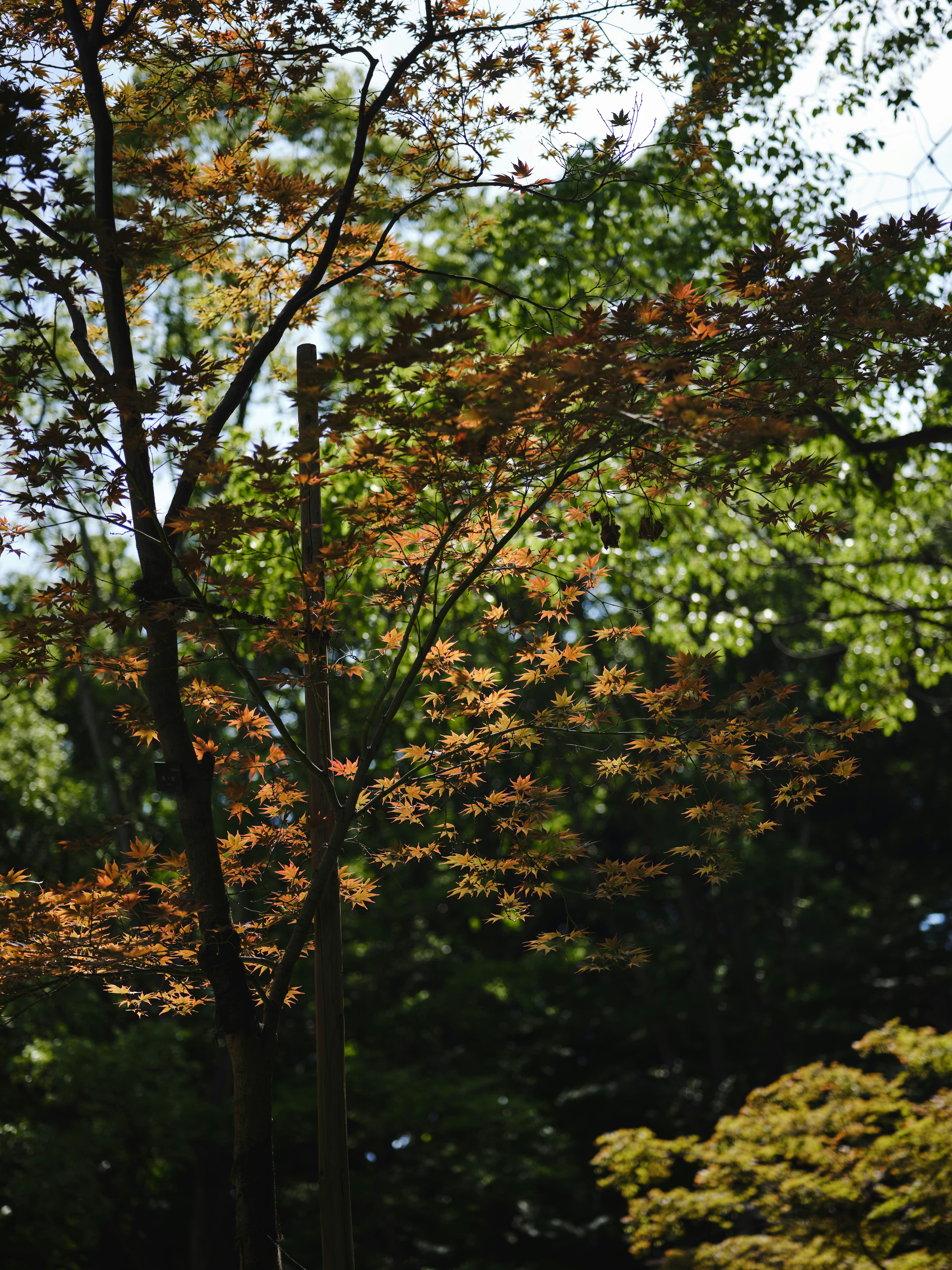 Photo by ypbehere