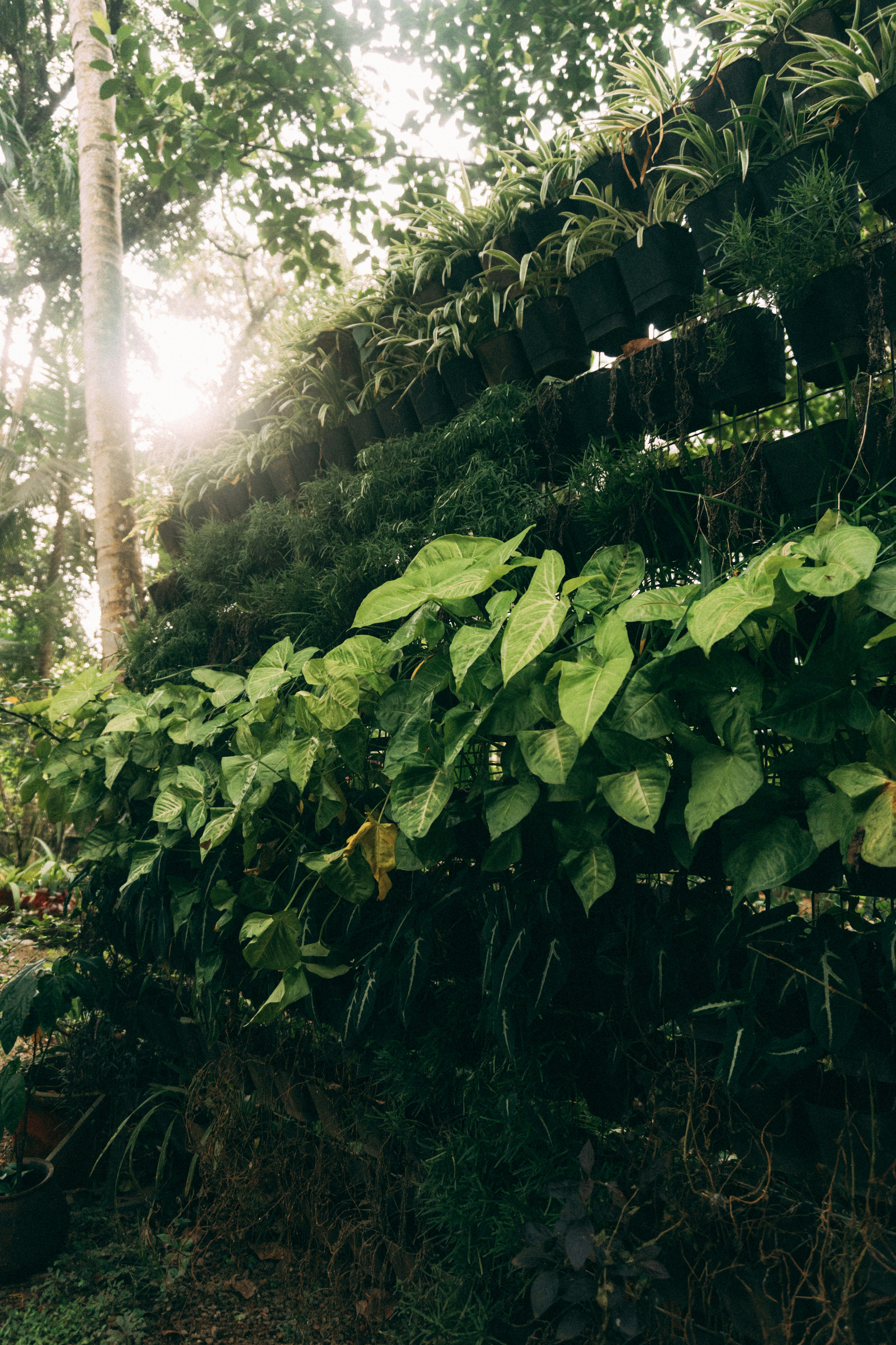 Photo by nanduvasudevan