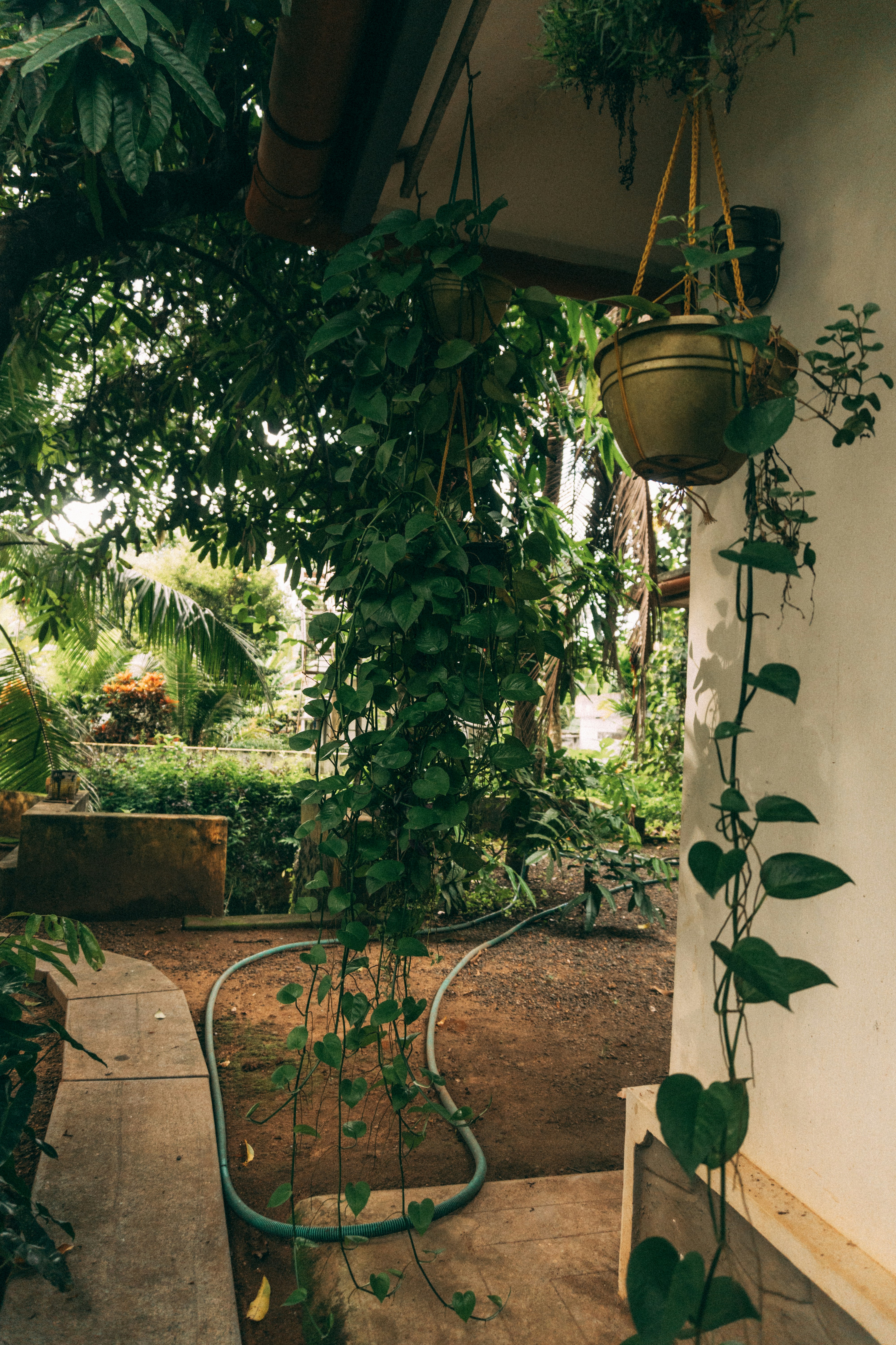 Photo by nanduvasudevan