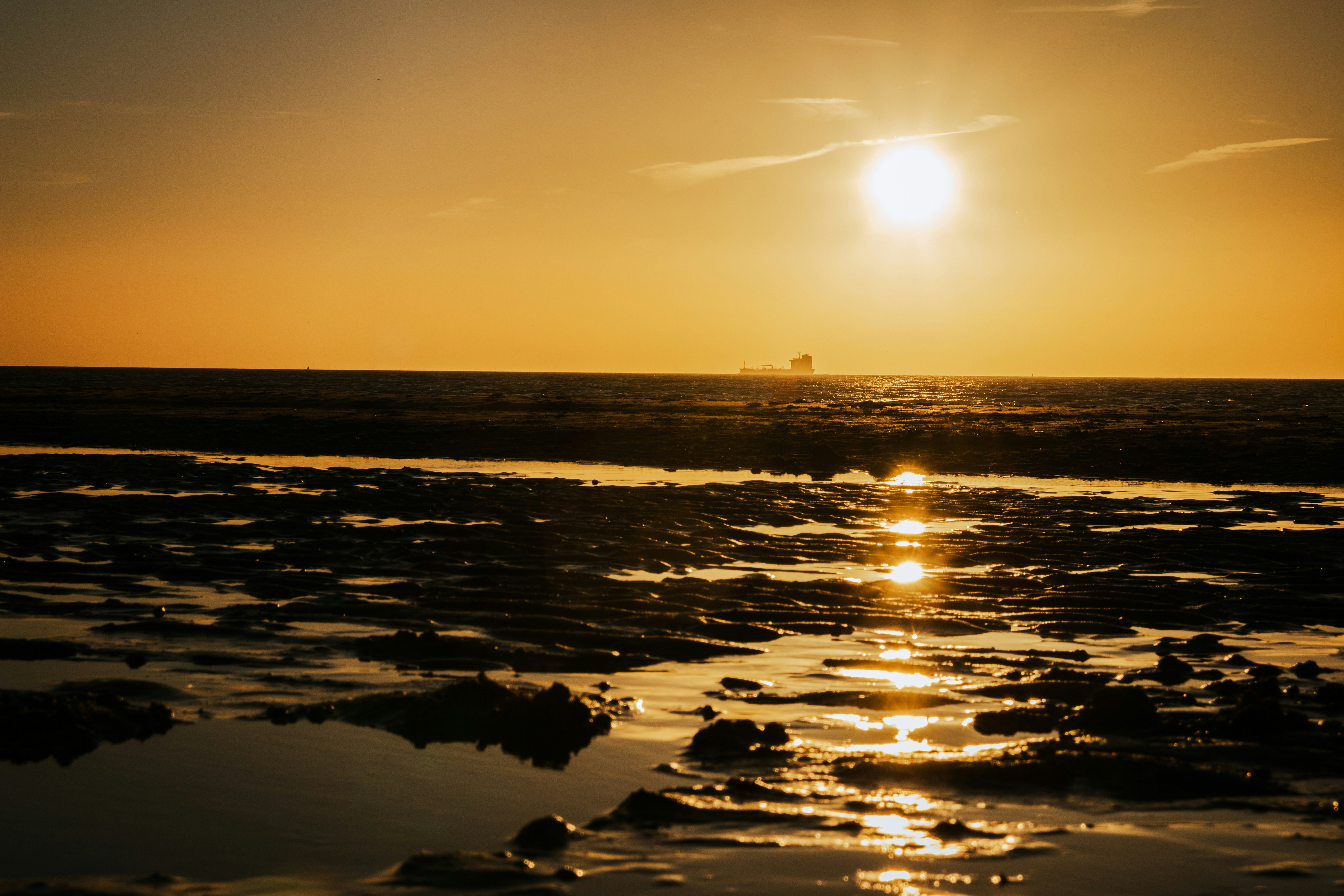 Photo by kennyvrphotography