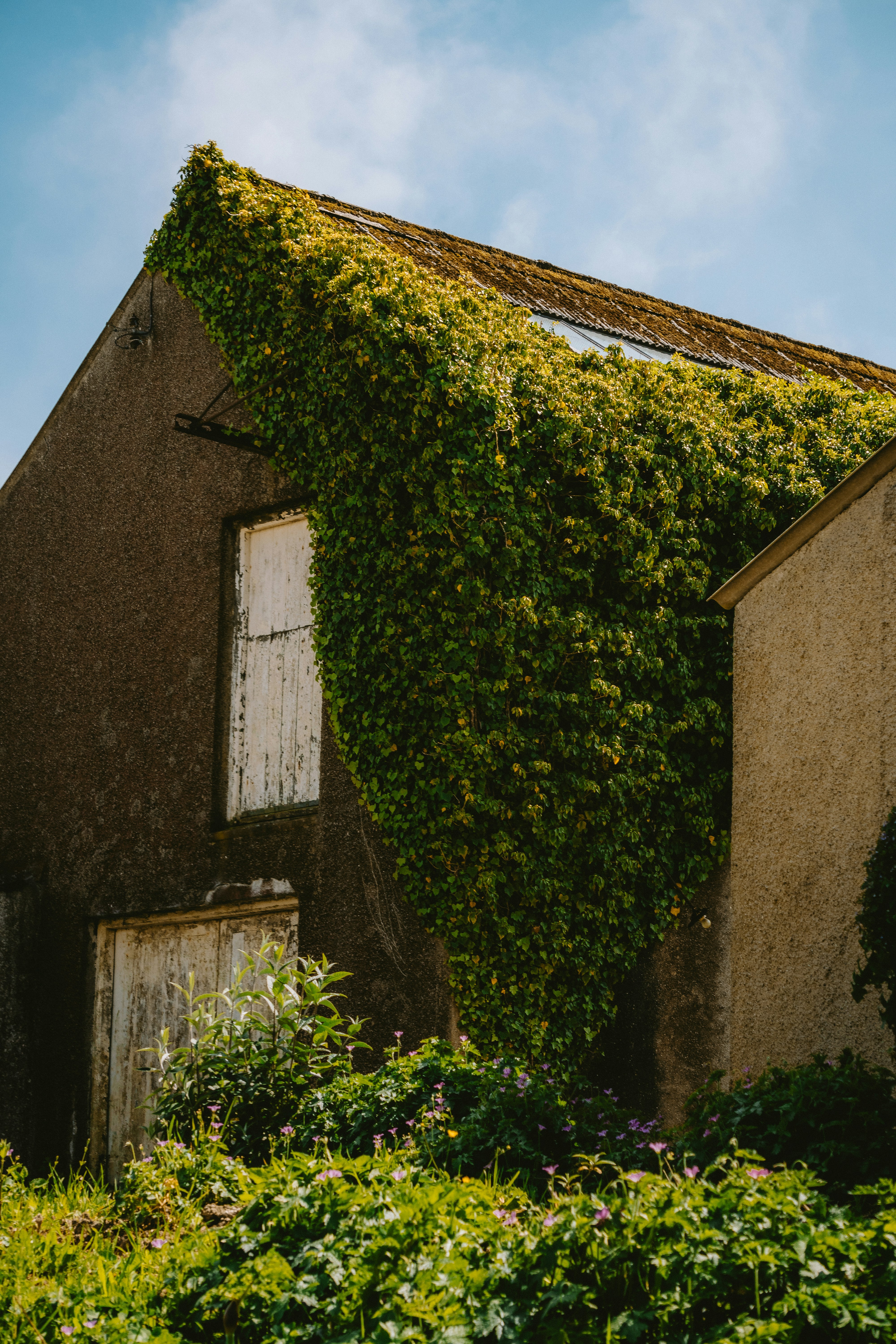 photo-1718870299892-b611fc8e377e?ixid=M3wxMjA3fDB8MXxzZWFyY2h8OHx8aHVpcyUyMHZlcmR1dXJ6YW1lbnxlbnwwfHx8fDE3NTg0NTcyODl8MA\u0026ixlib=rb-4.1.0