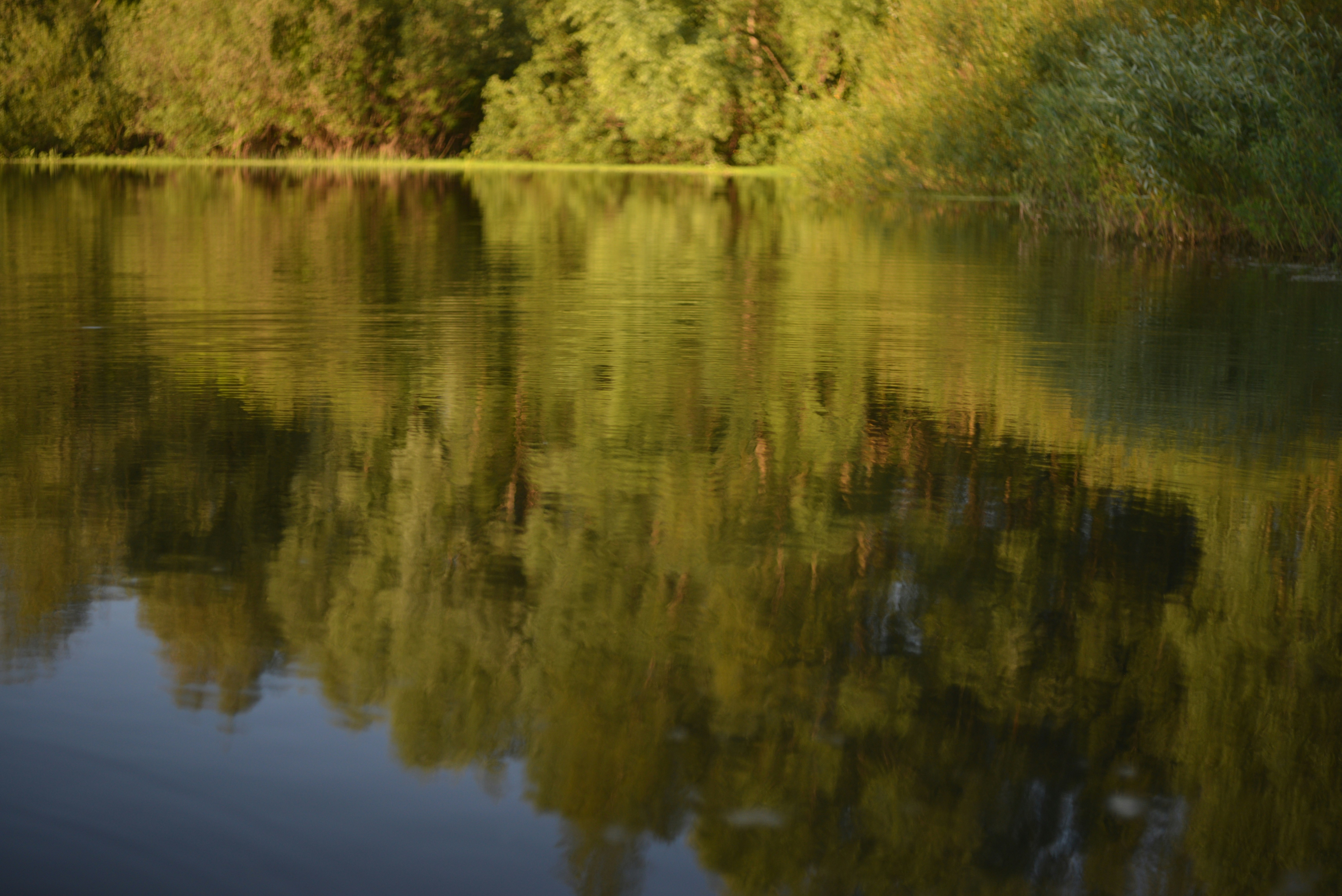 Photo by cherstve_pechivo