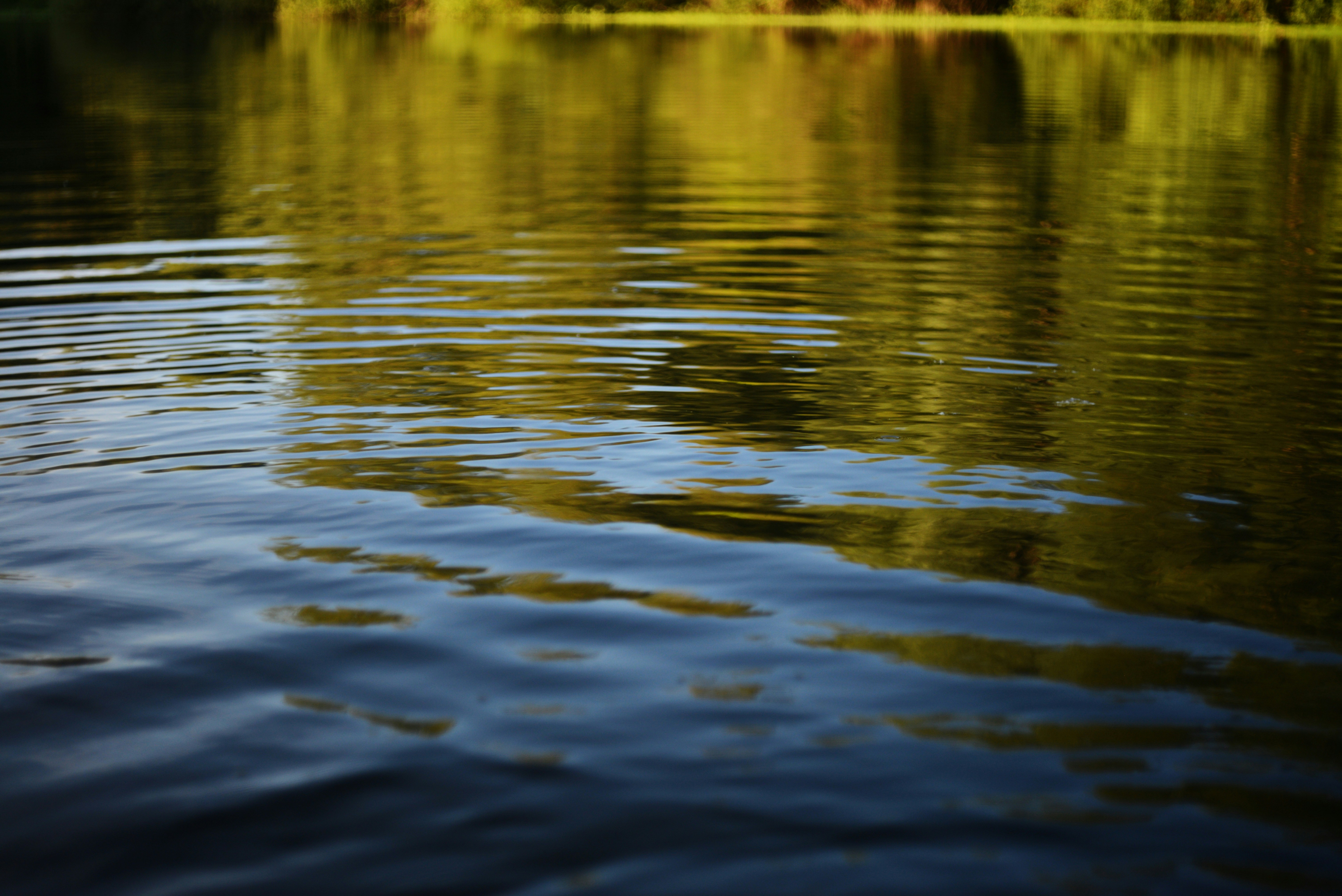 Photo by cherstve_pechivo