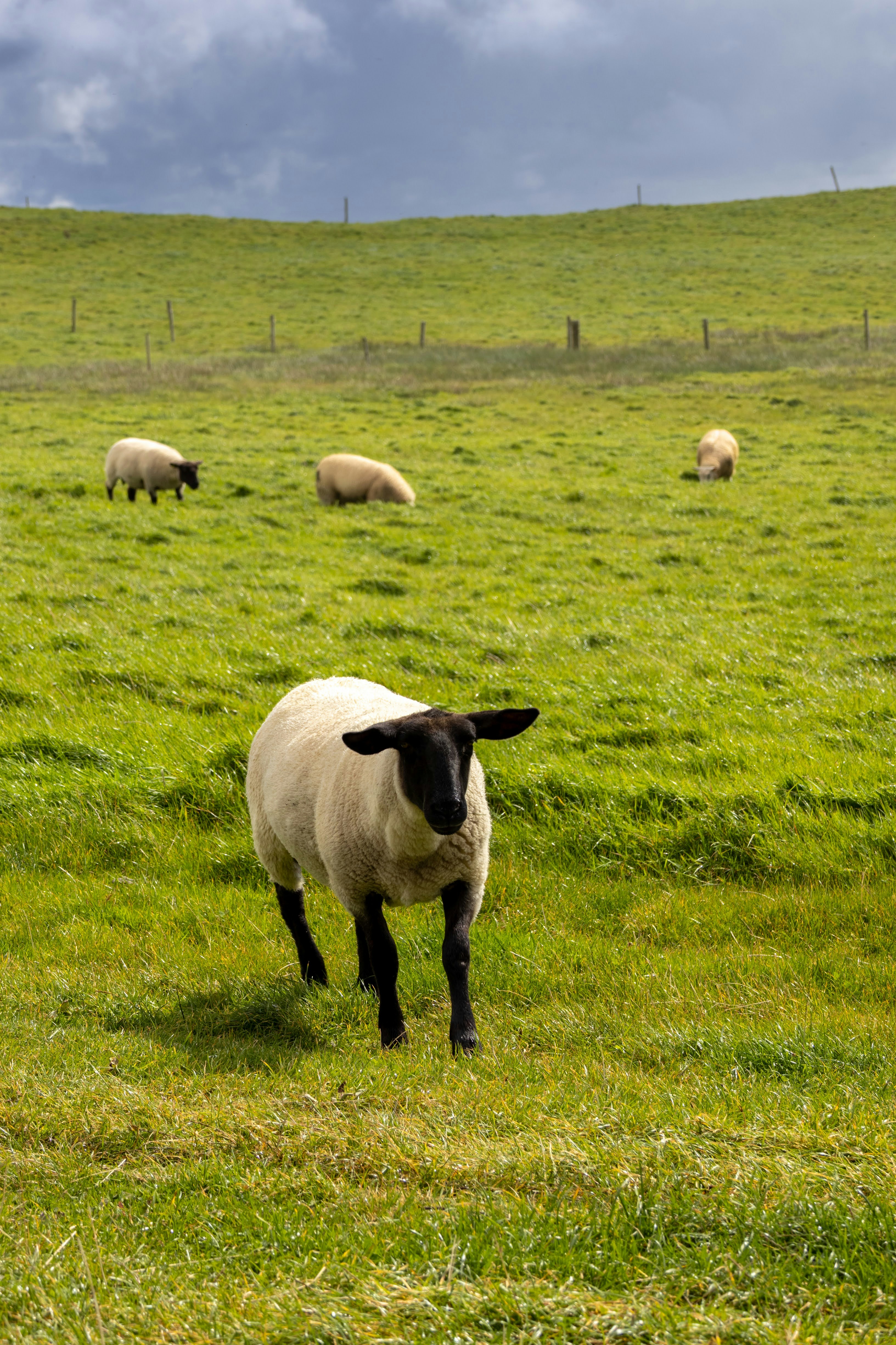 Photo by stephanie10