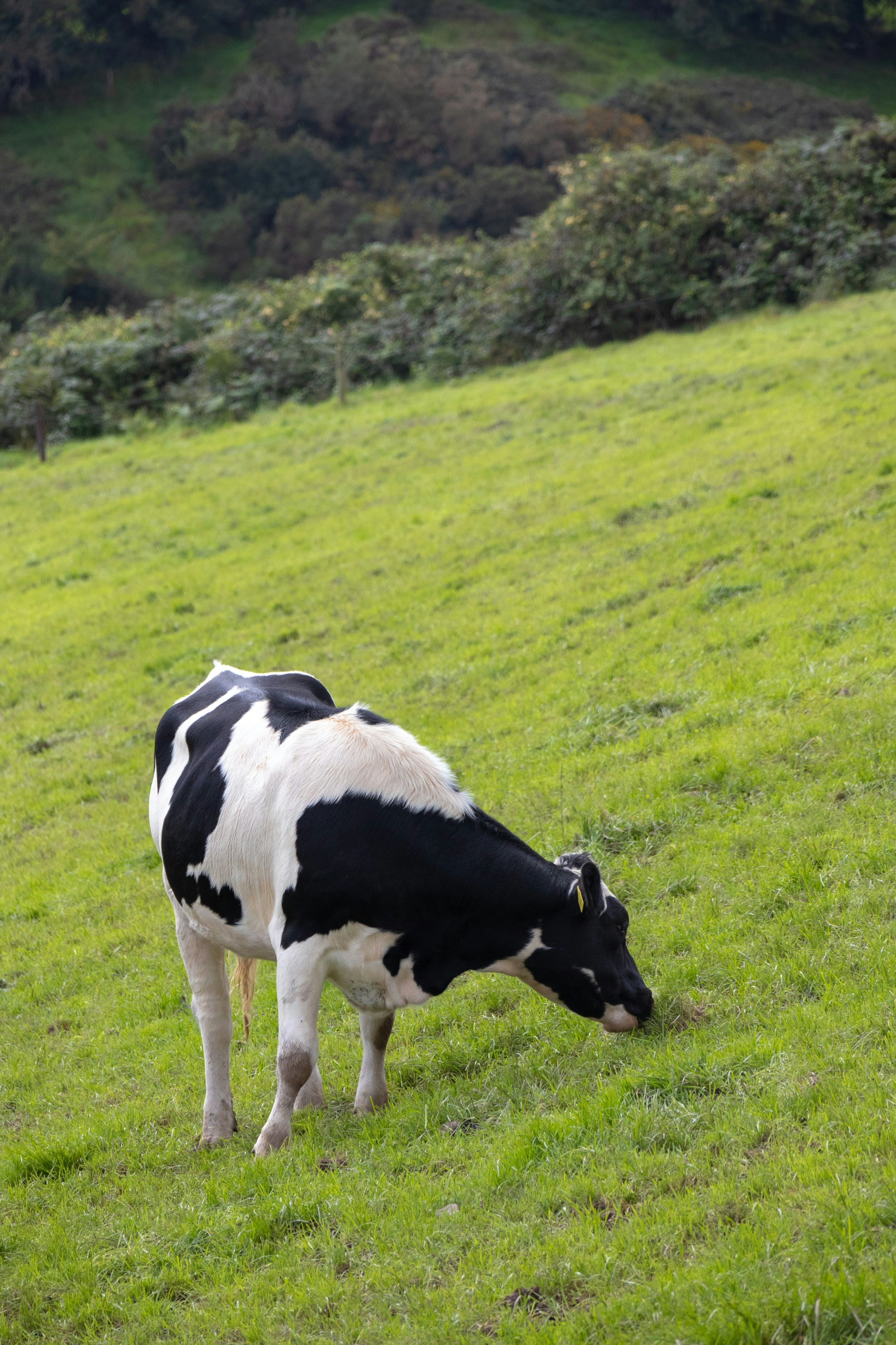 Photo by stephanie10