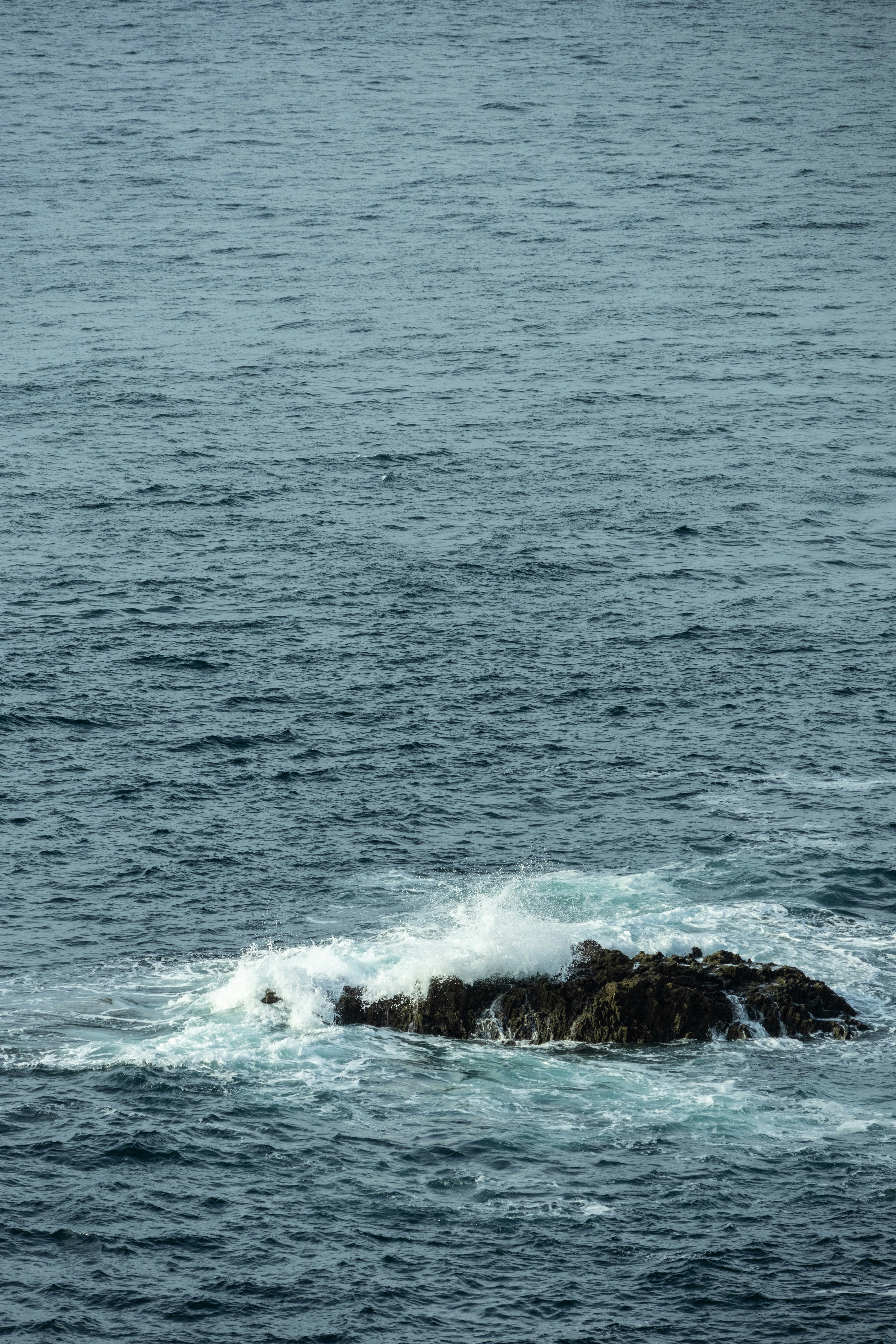 Photo by stephanie10