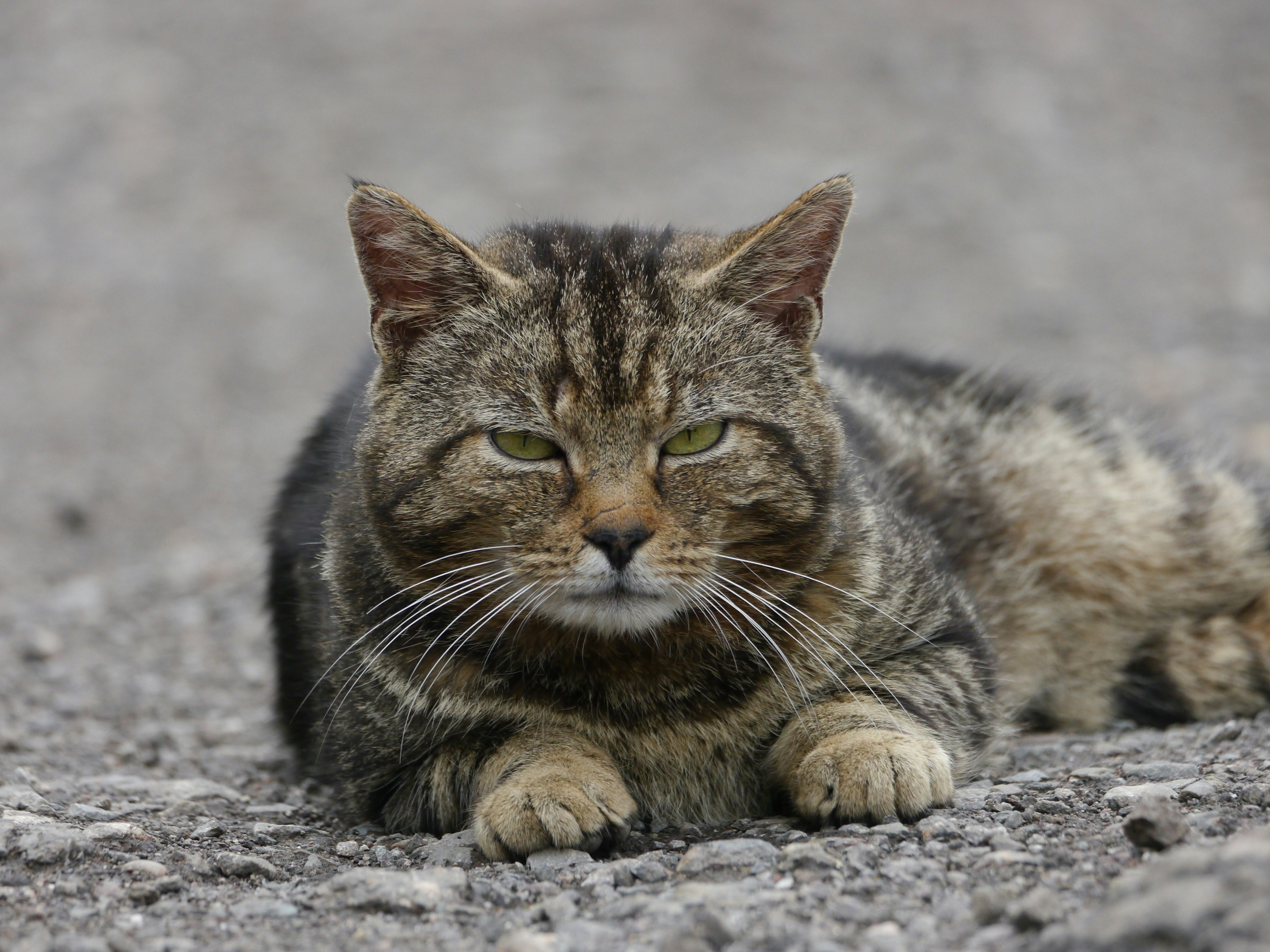 Photo by iqsphotography