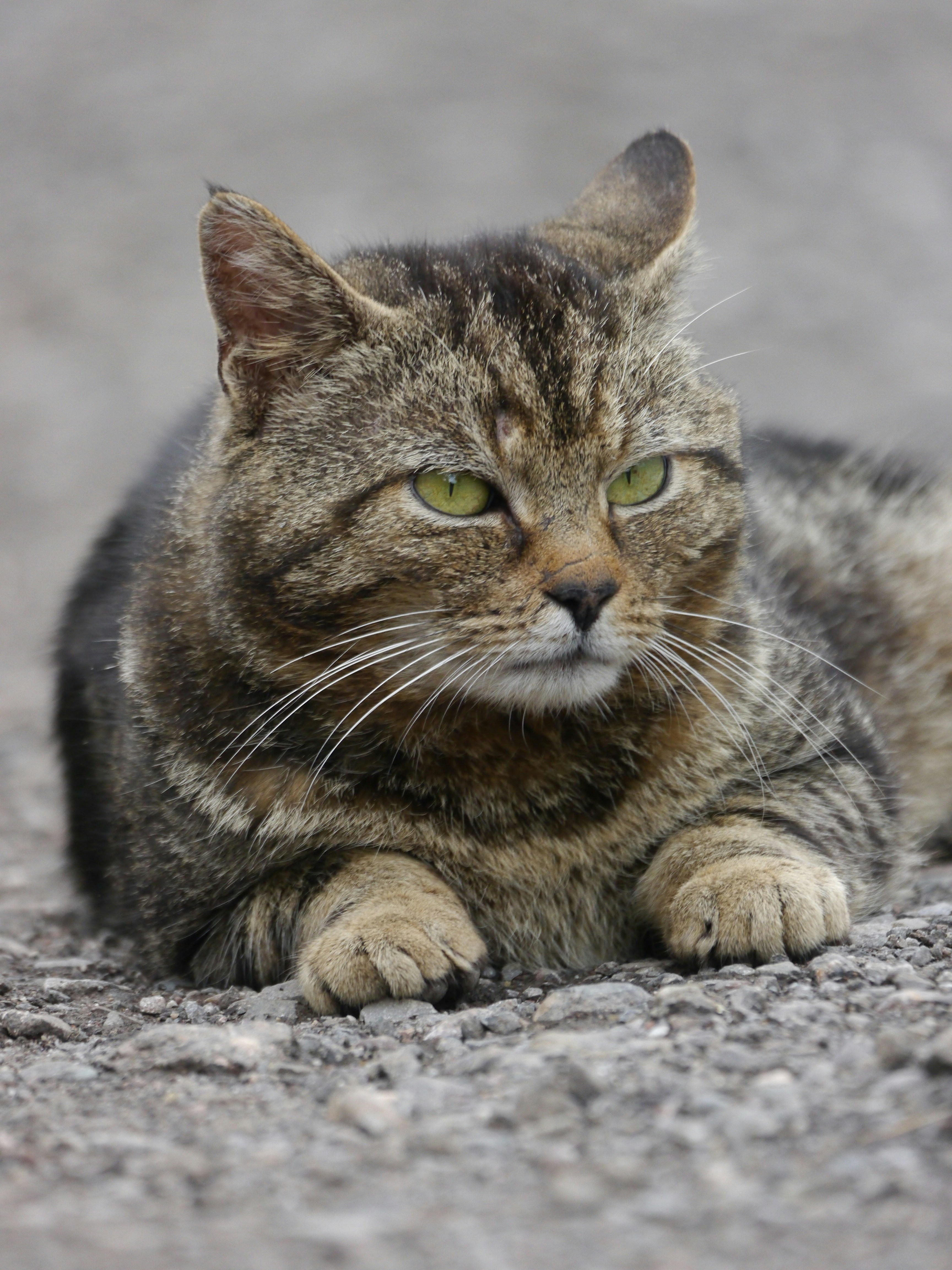 Photo by iqsphotography