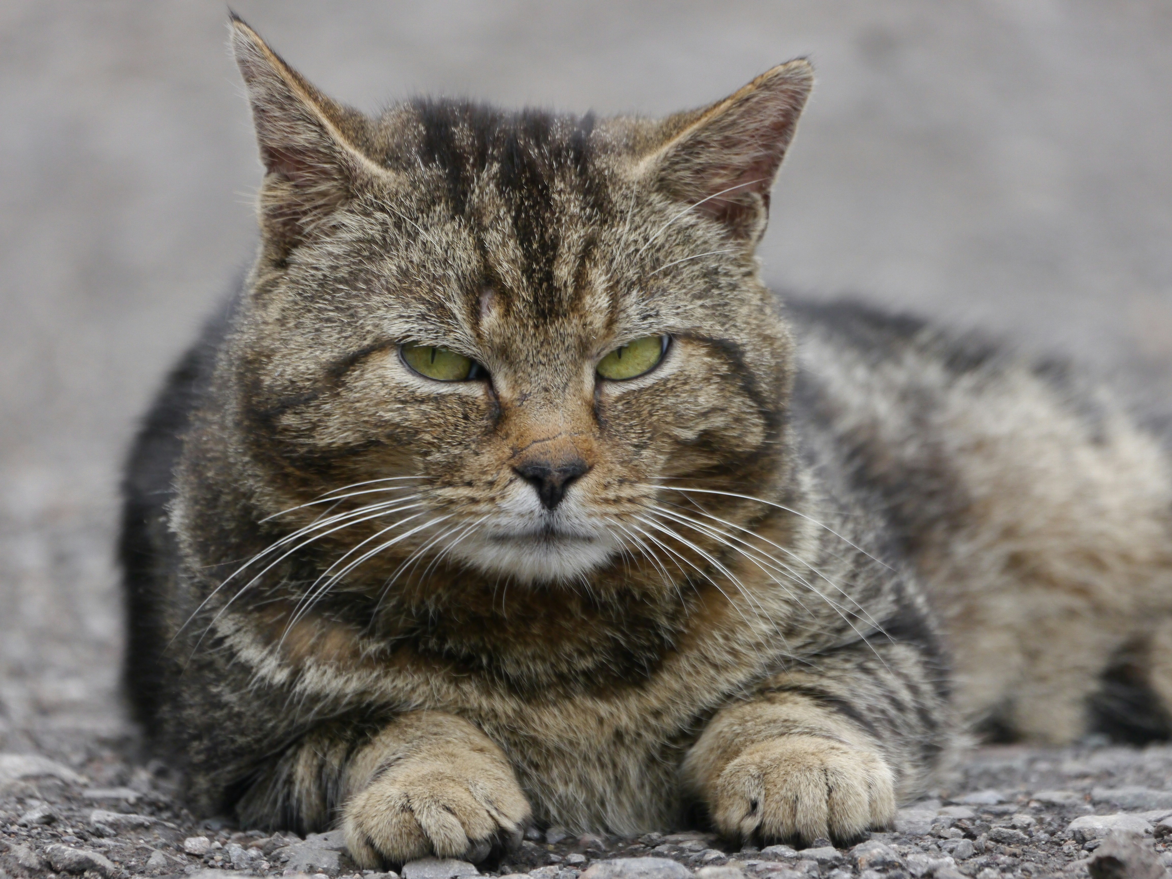 Photo by iqsphotography