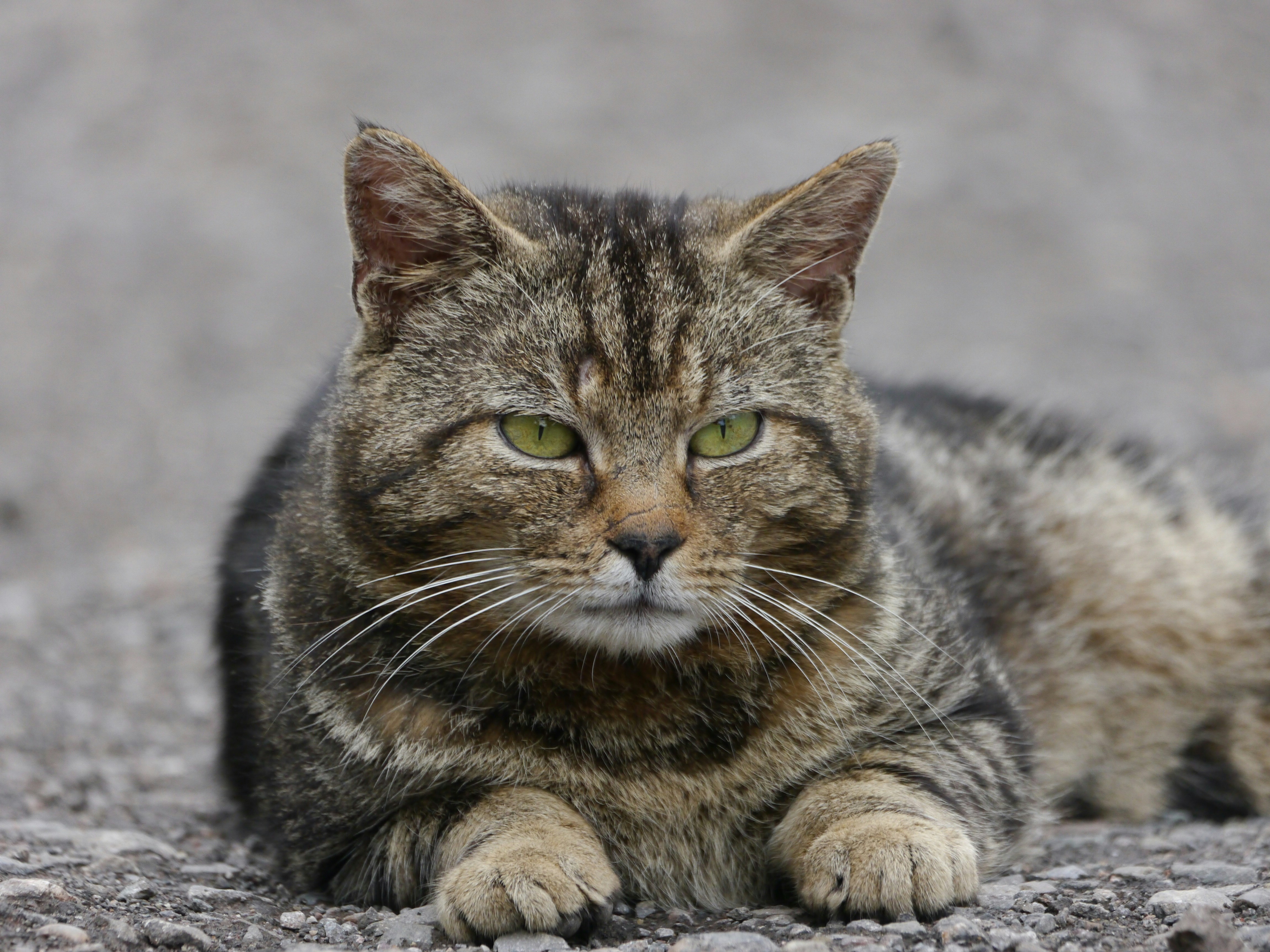 Photo by iqsphotography