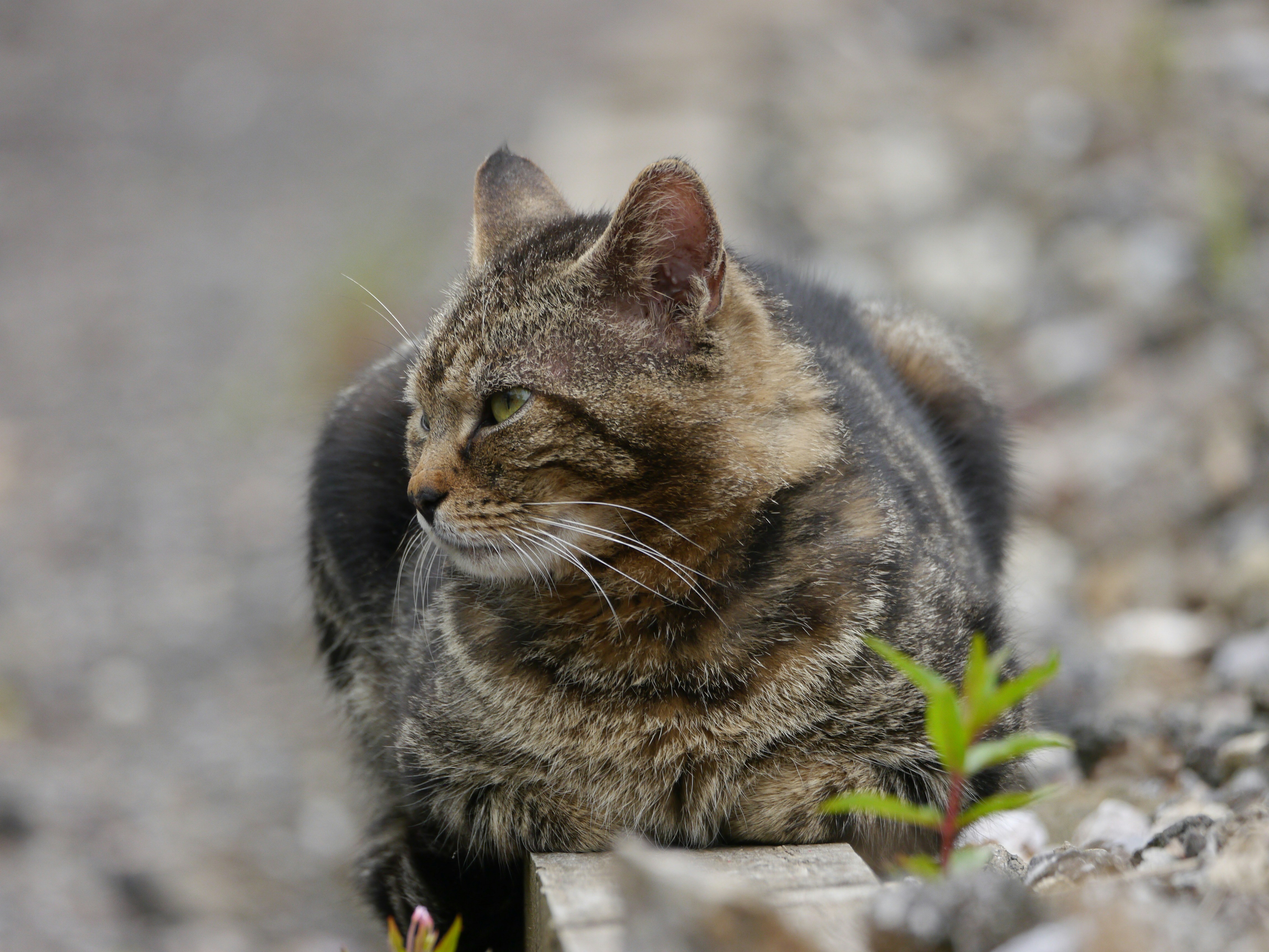 Photo by iqsphotography