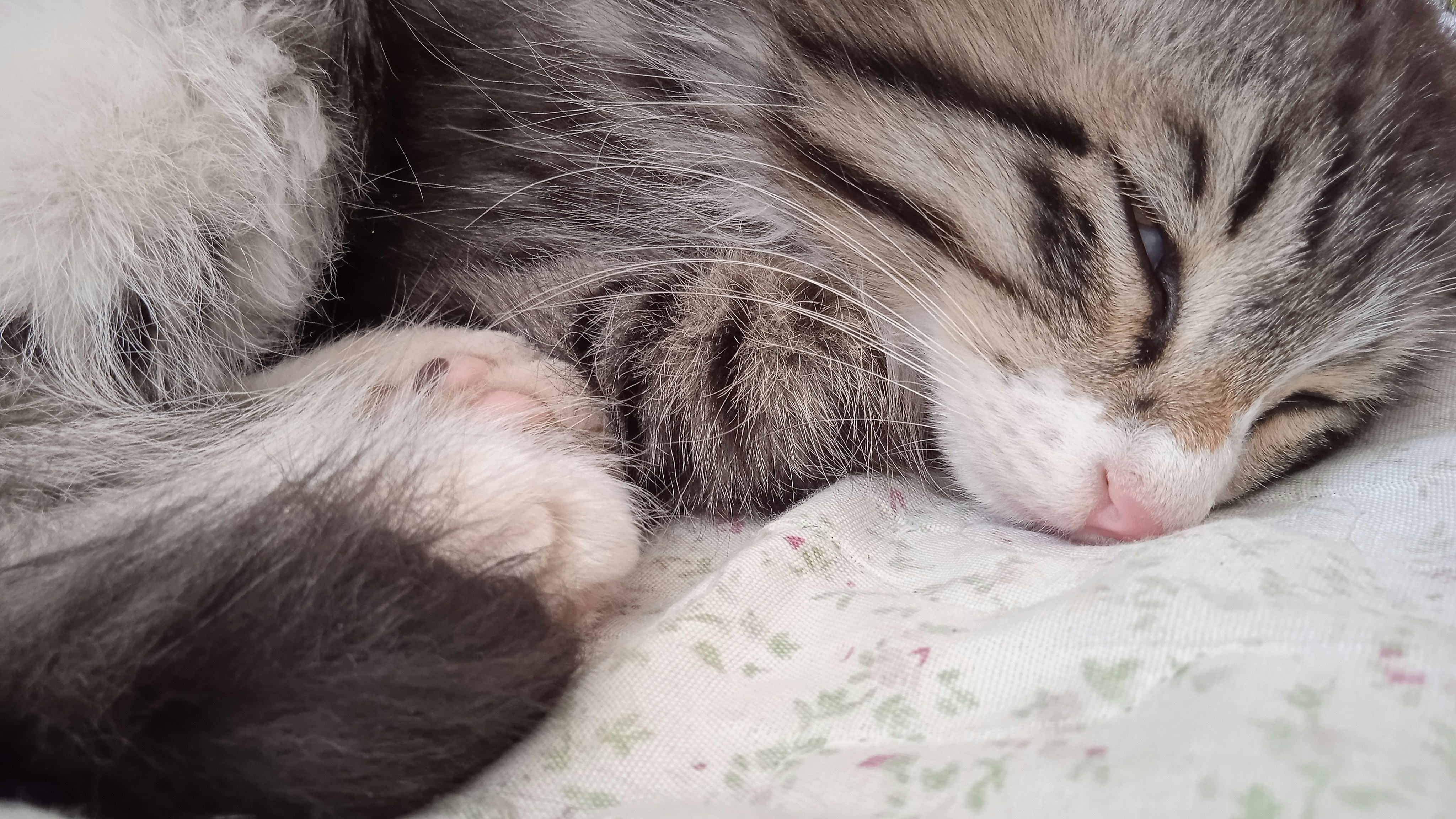 Photo by maryam_goli