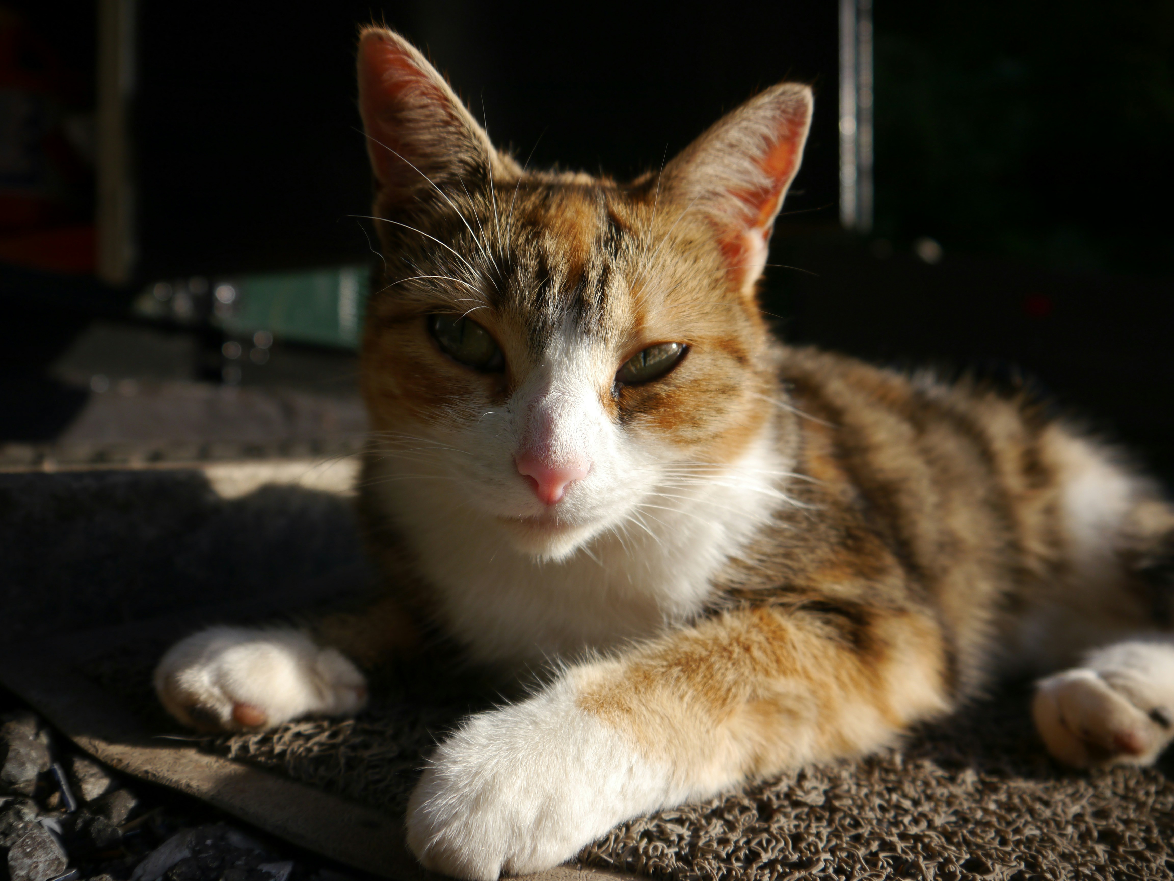 Photo by iqsphotography