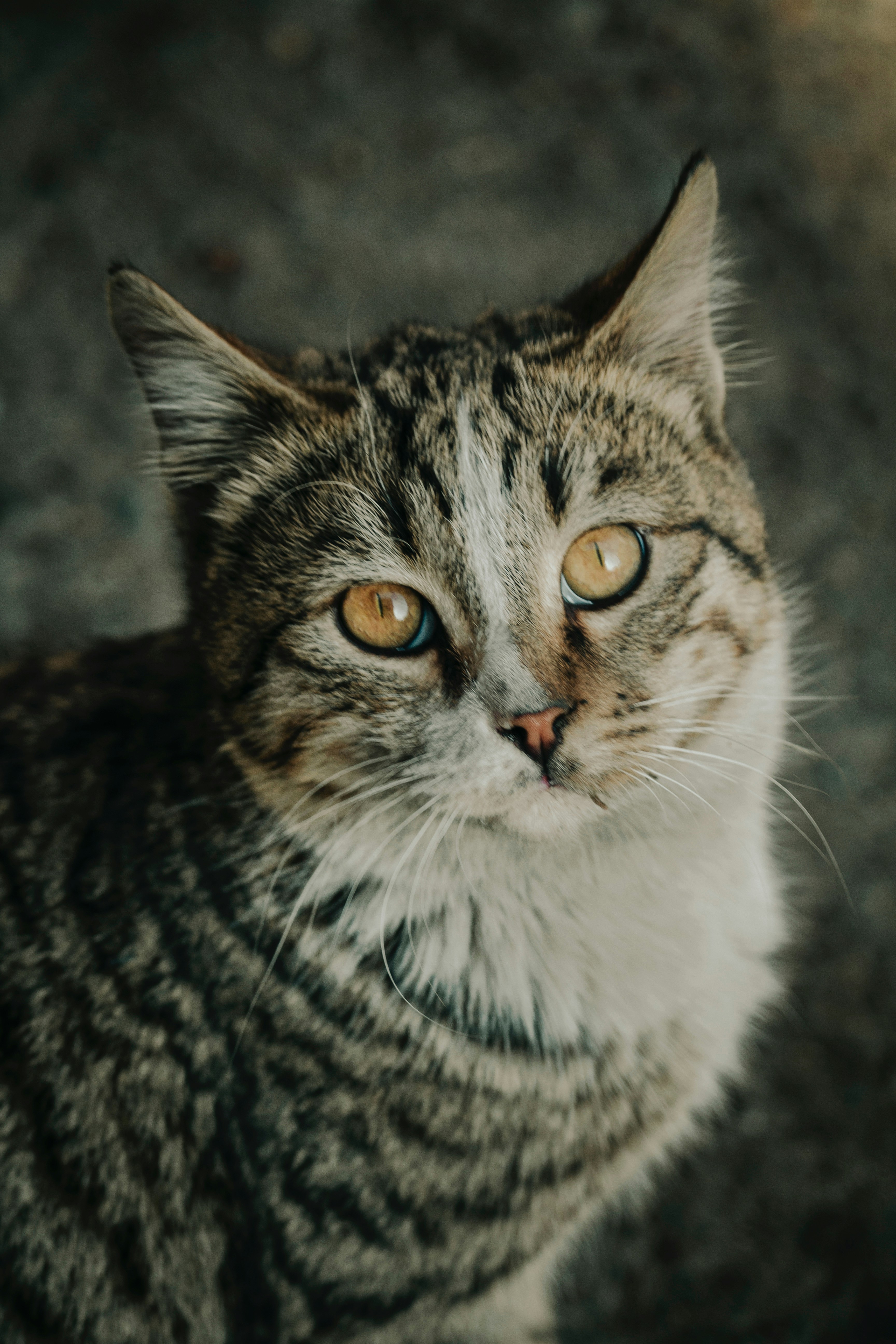 Photo by hananehreisi