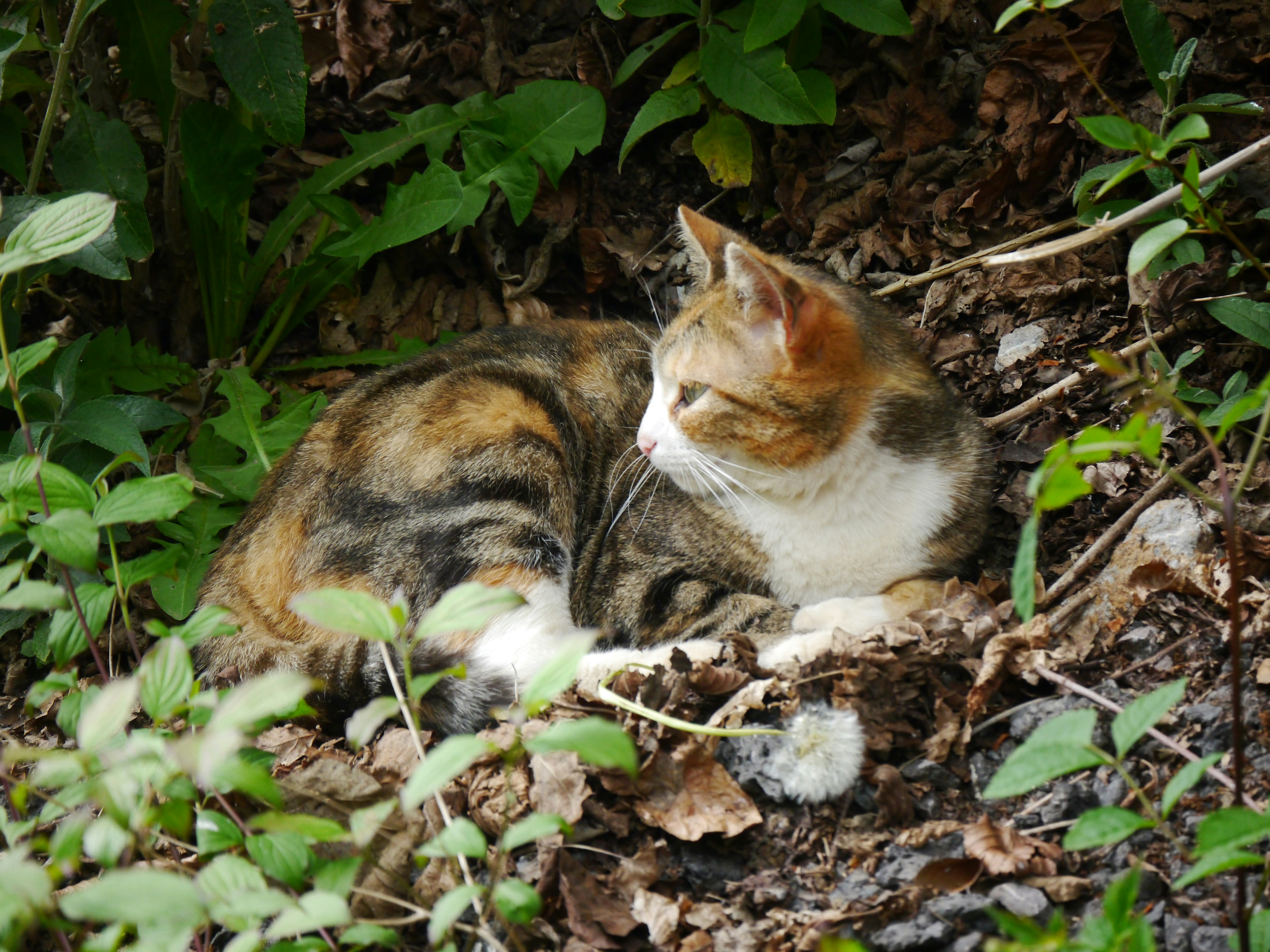 Photo by iqsphotography