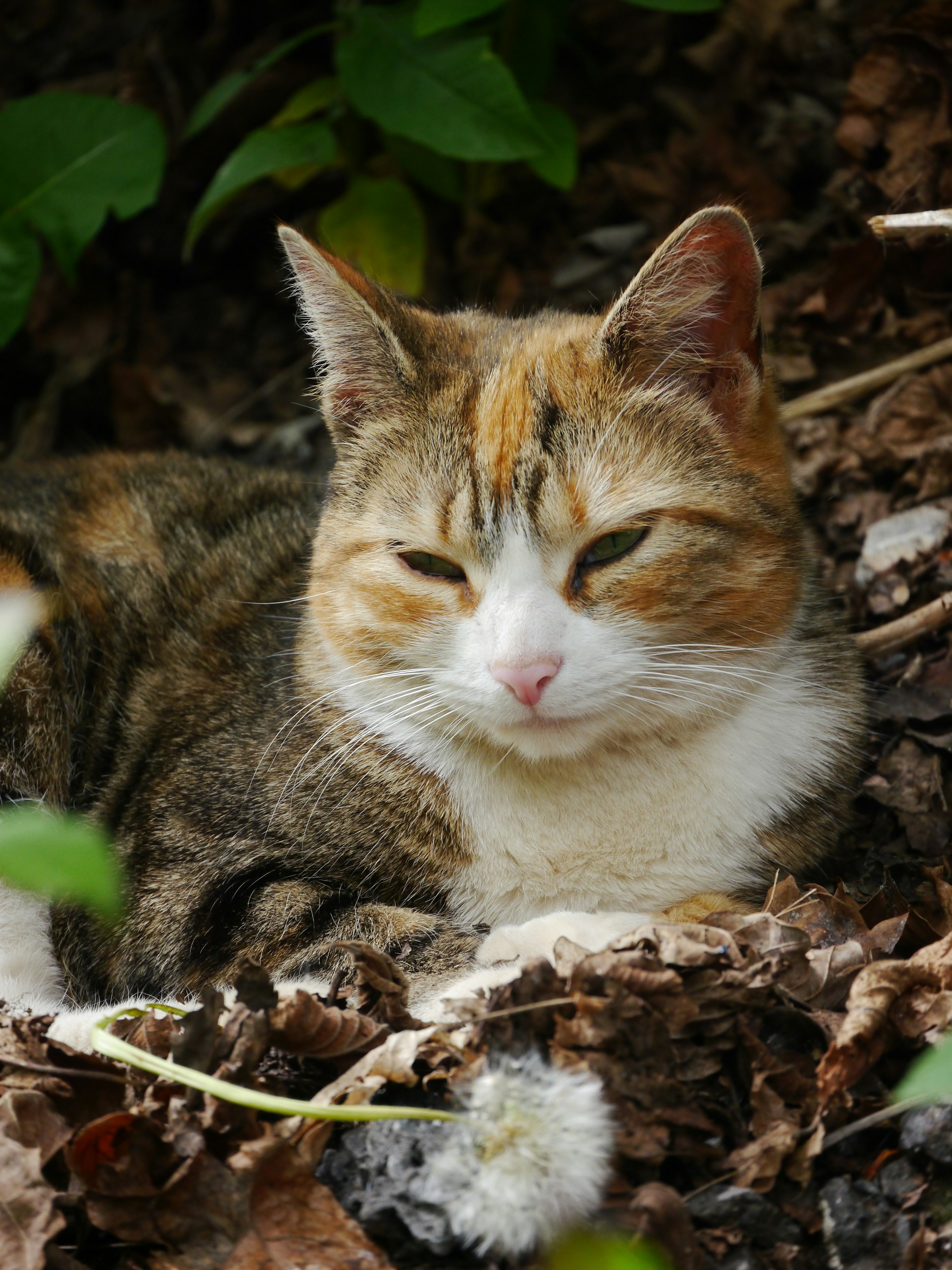 Photo by iqsphotography