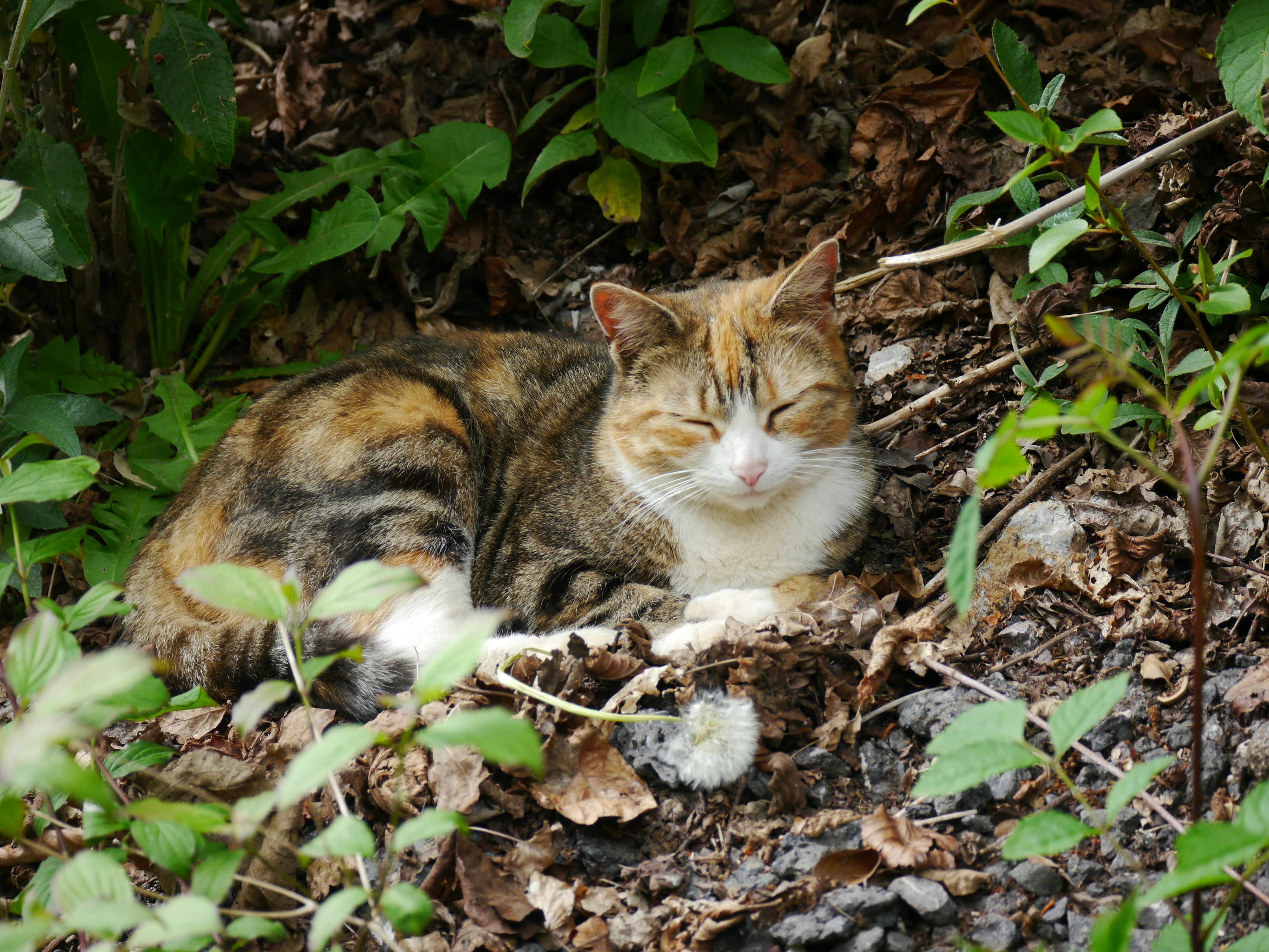 Photo by iqsphotography