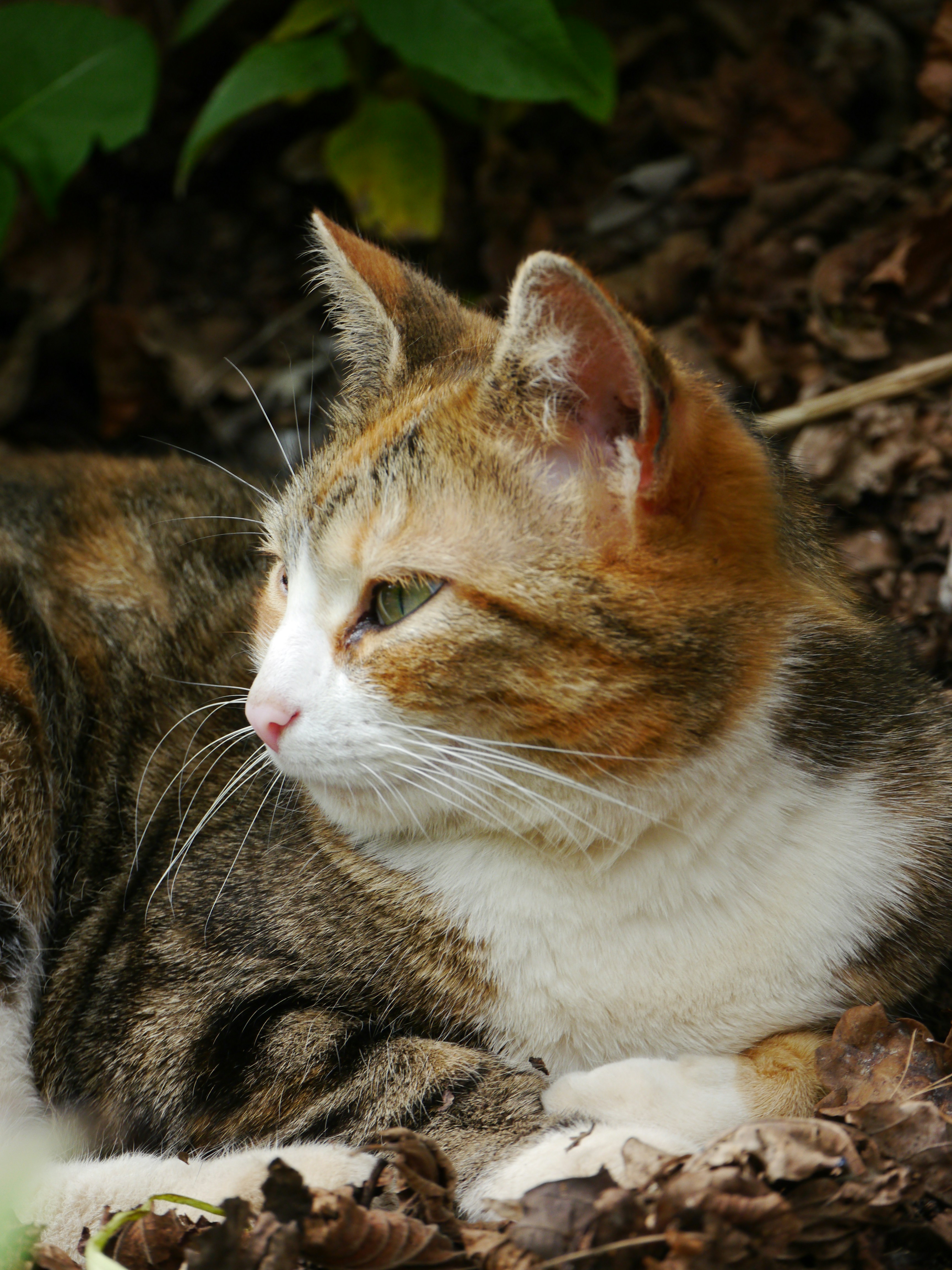 Photo by iqsphotography