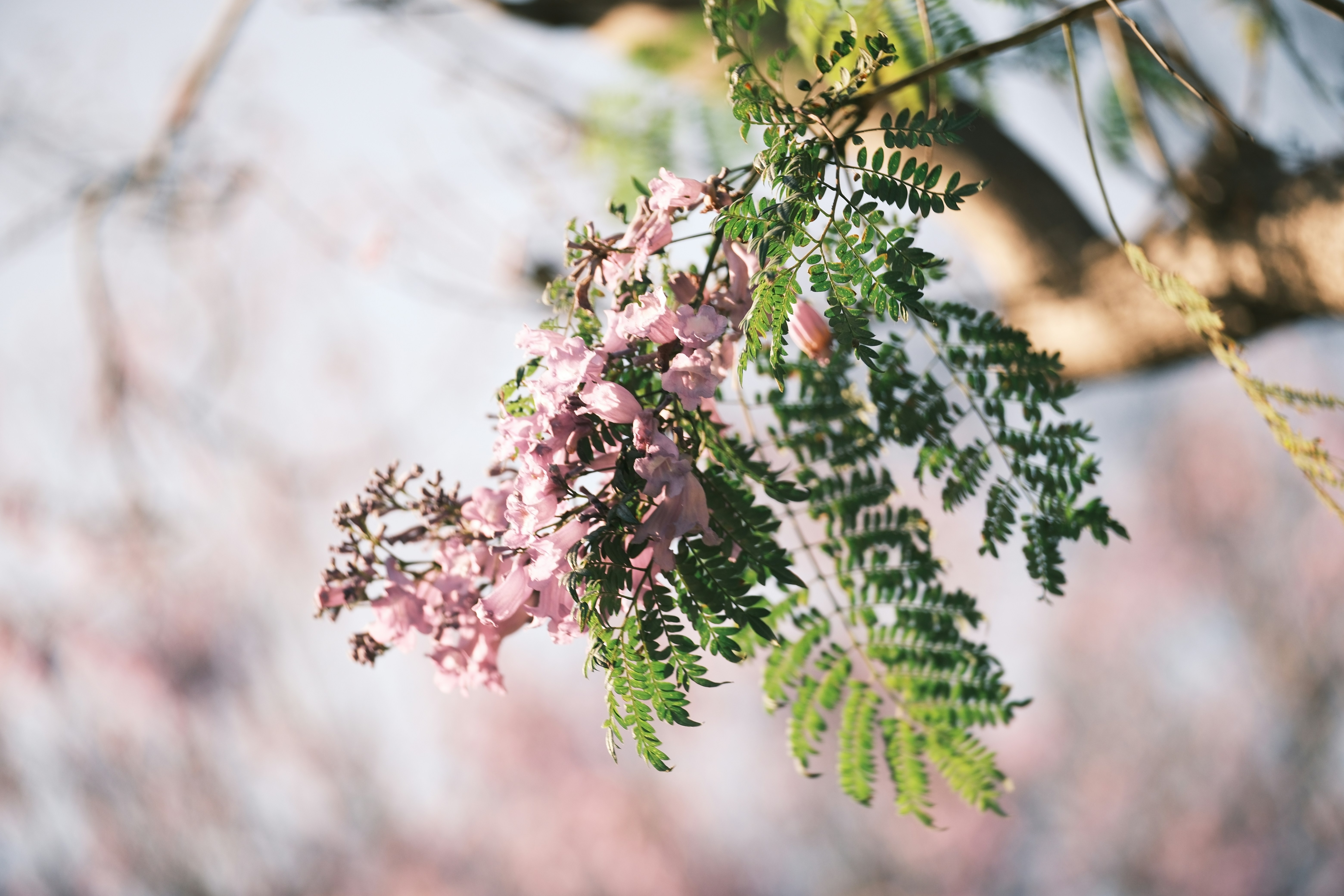 Photo by dorothysheng