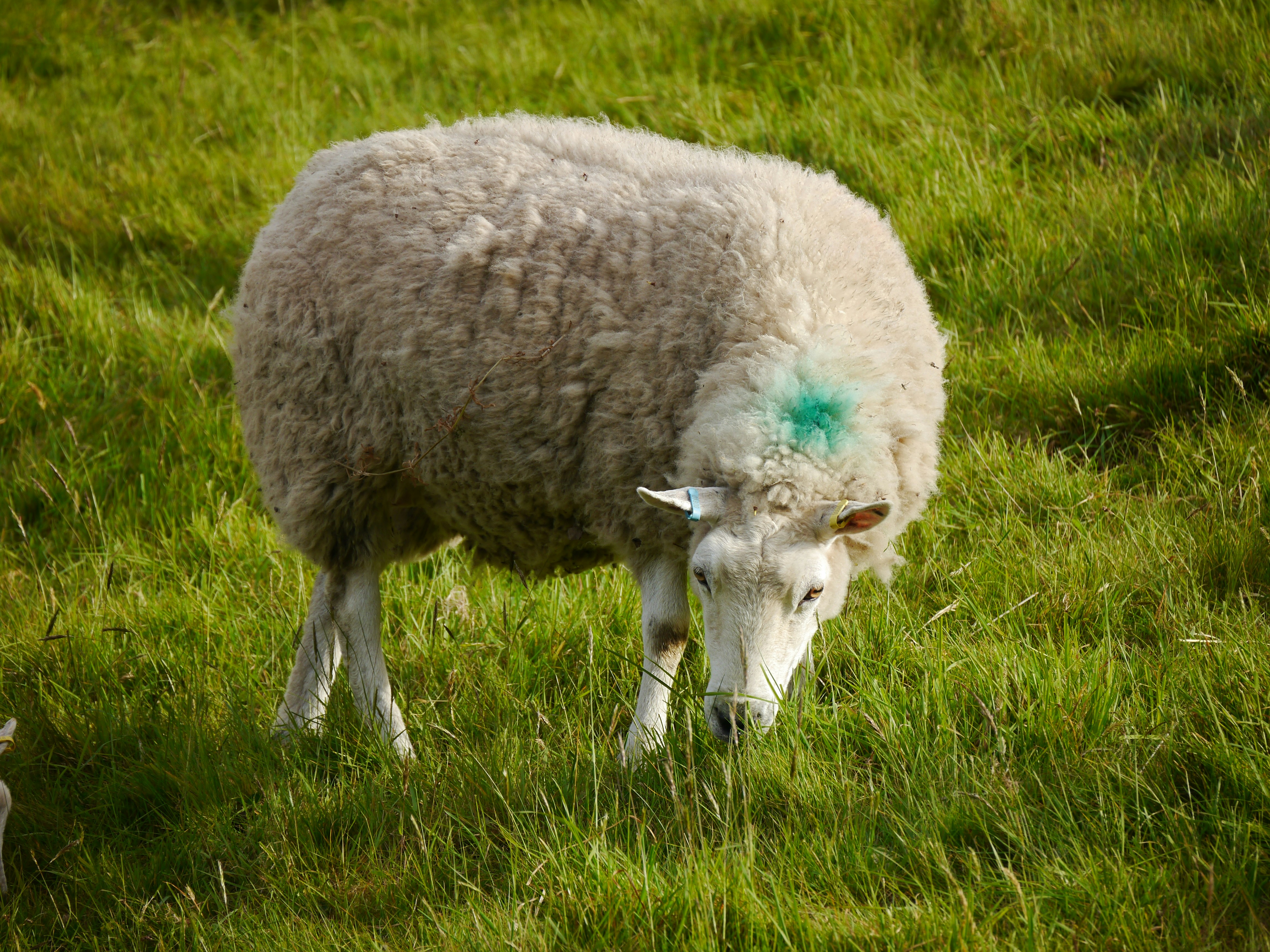 Photo by iqsphotography