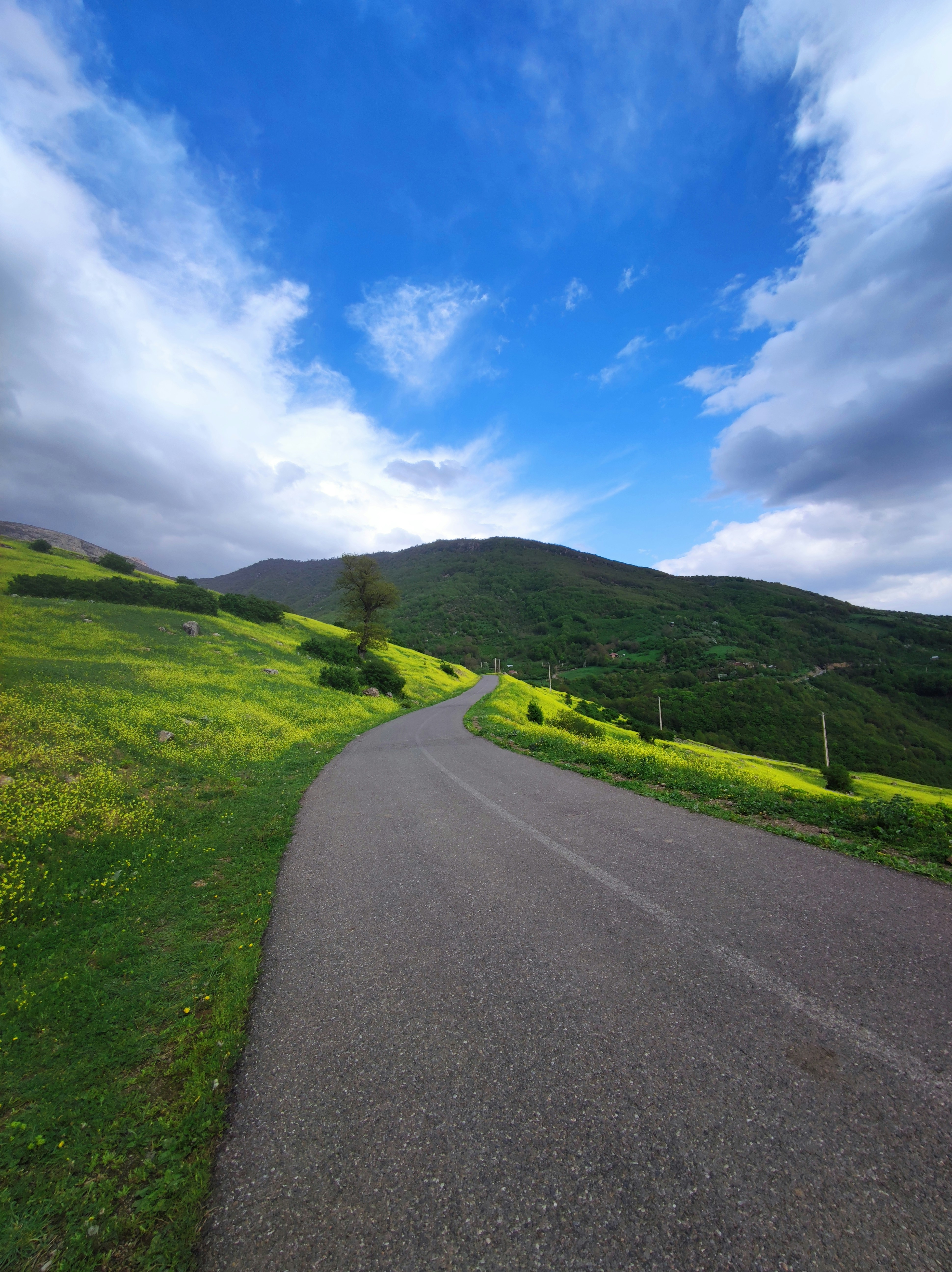 Photo by saeedanathema