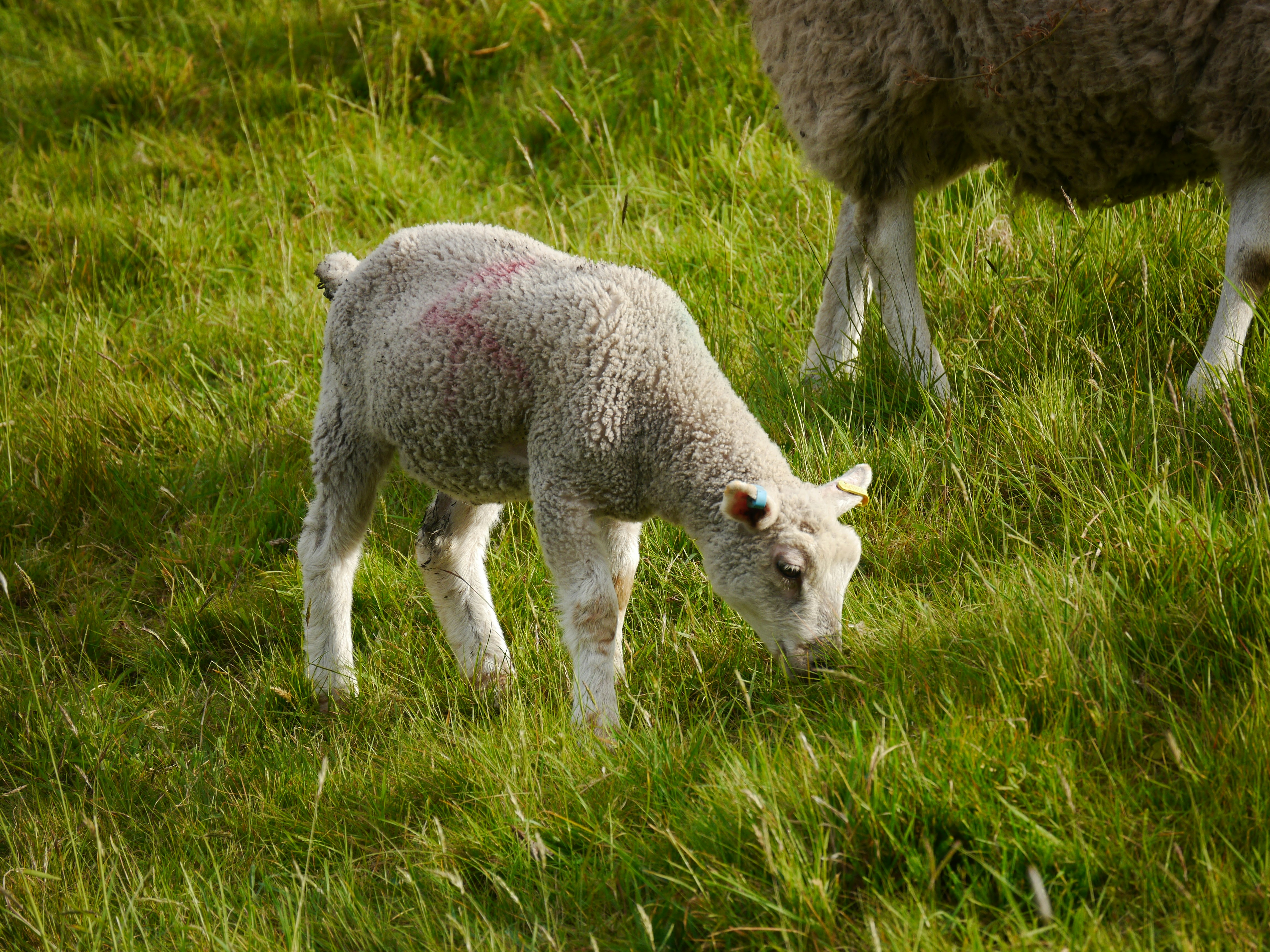 Photo by iqsphotography