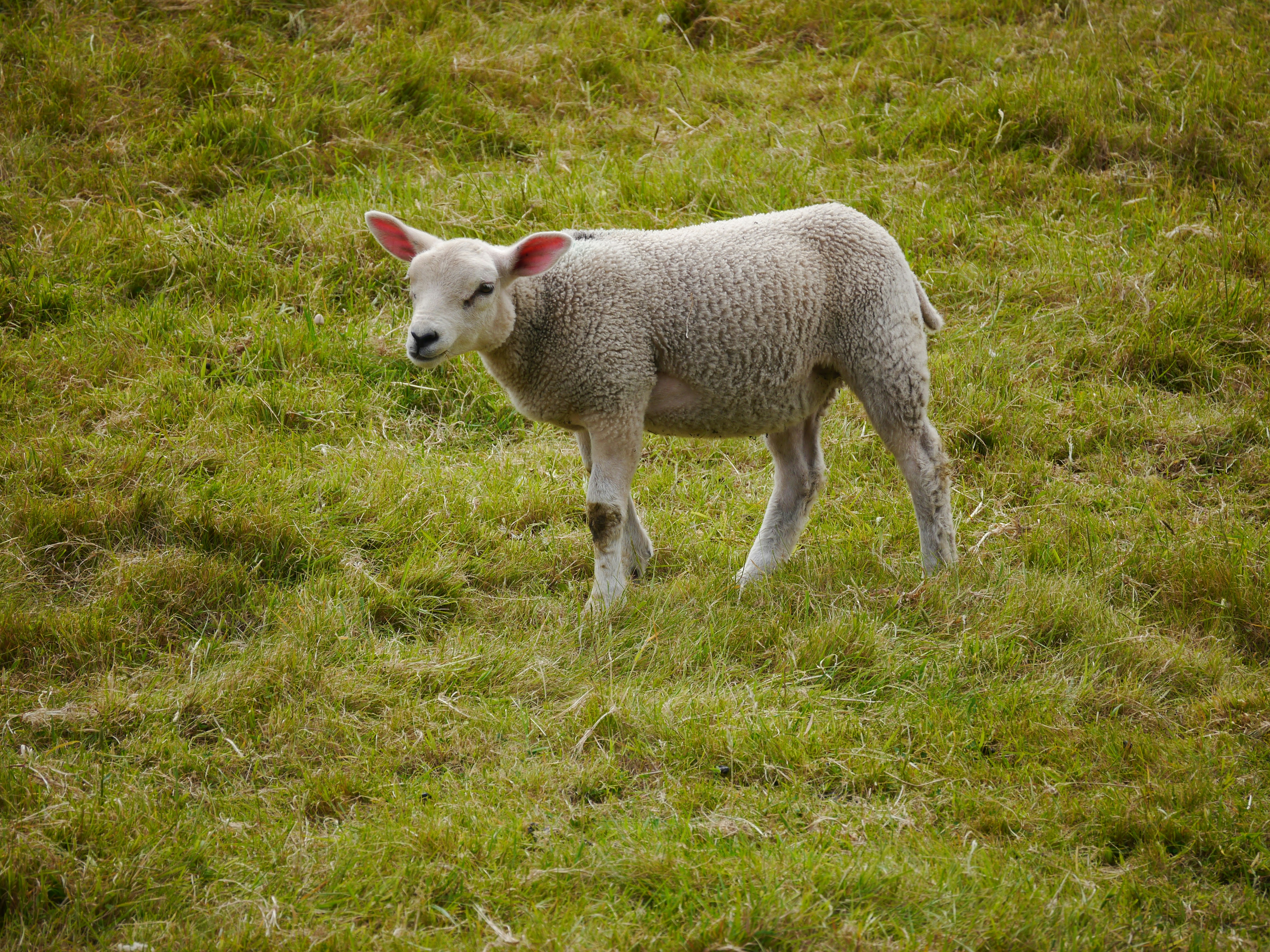 Photo by iqsphotography