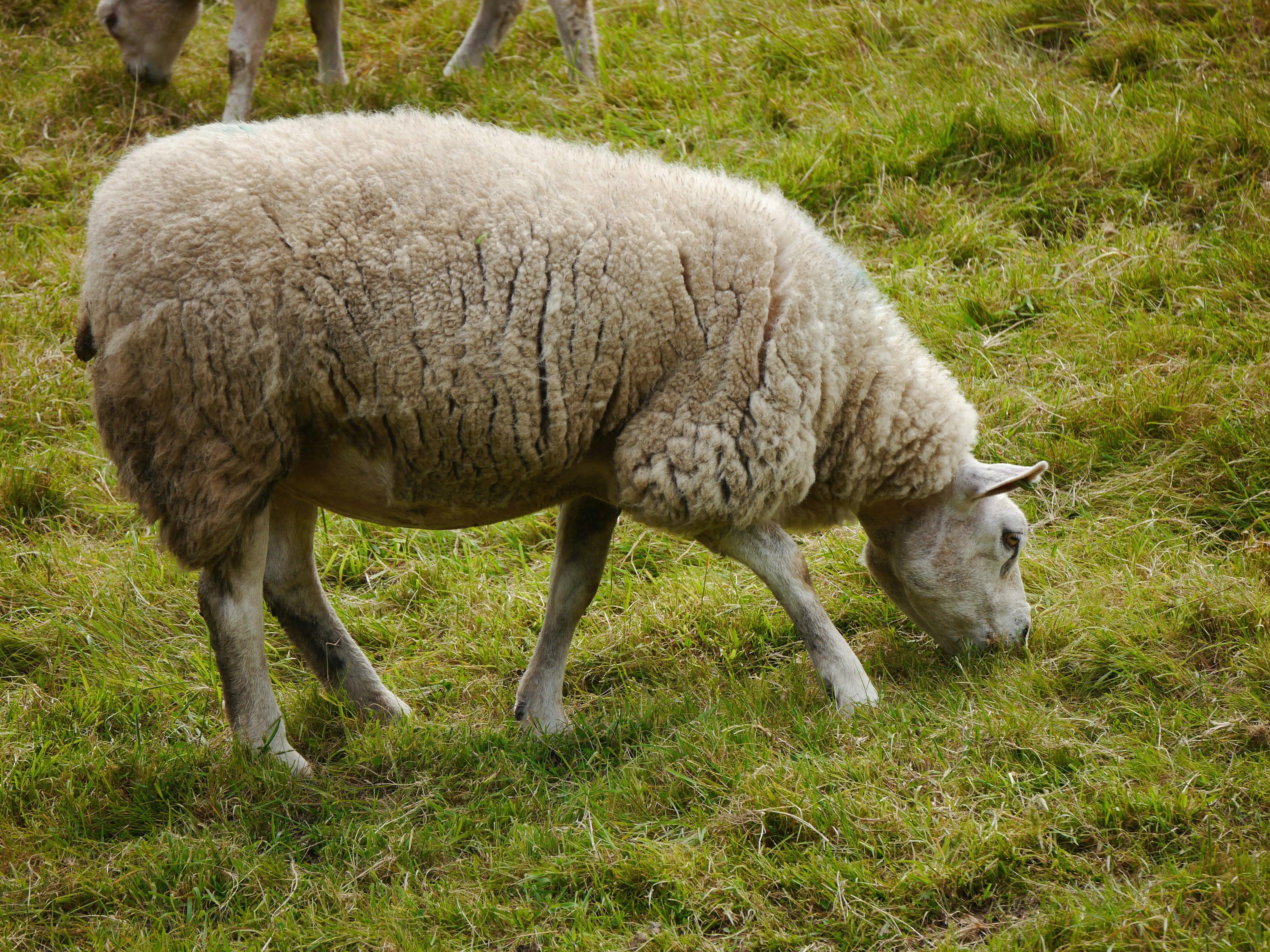 Photo by iqsphotography