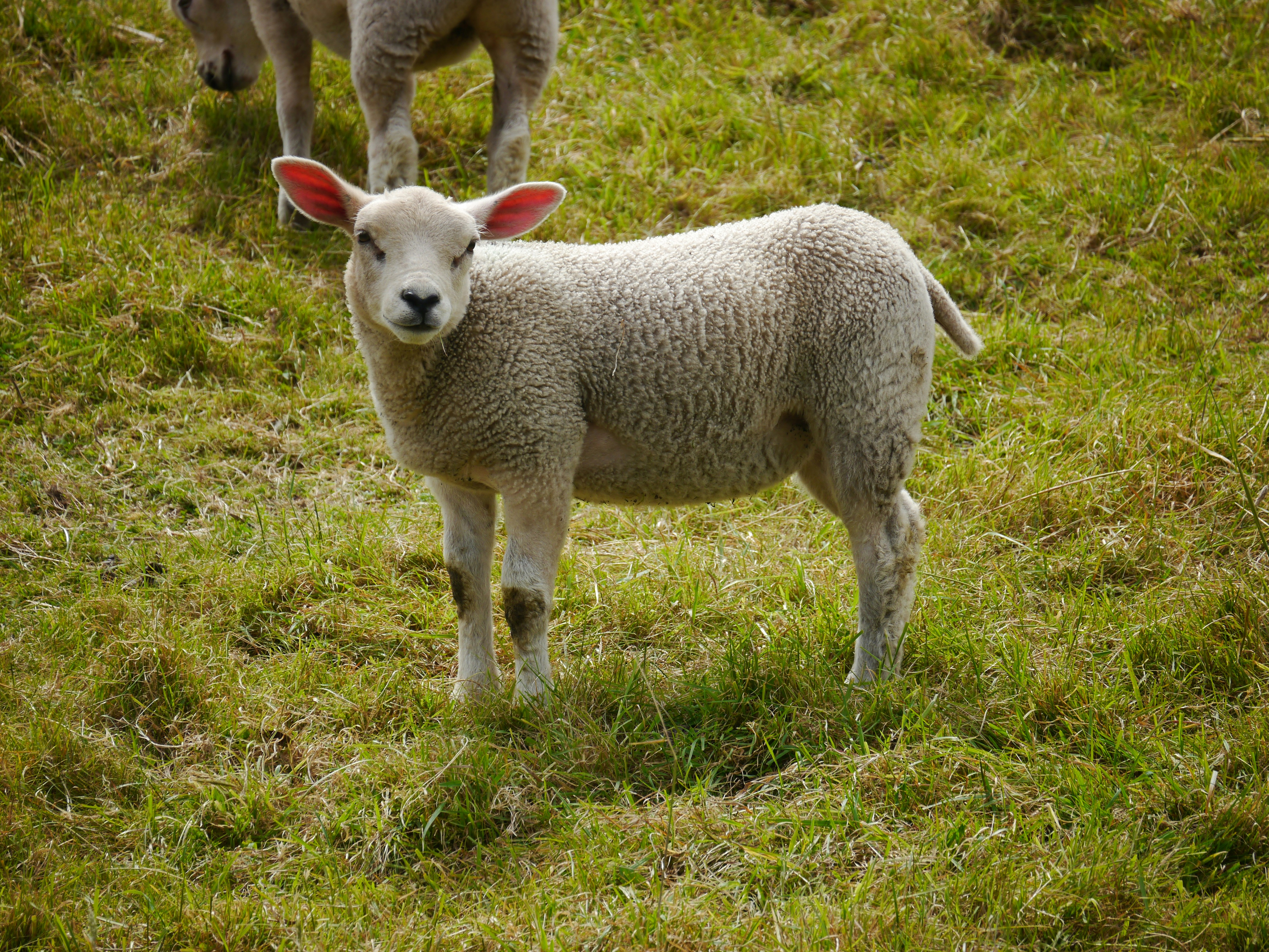 Photo by iqsphotography