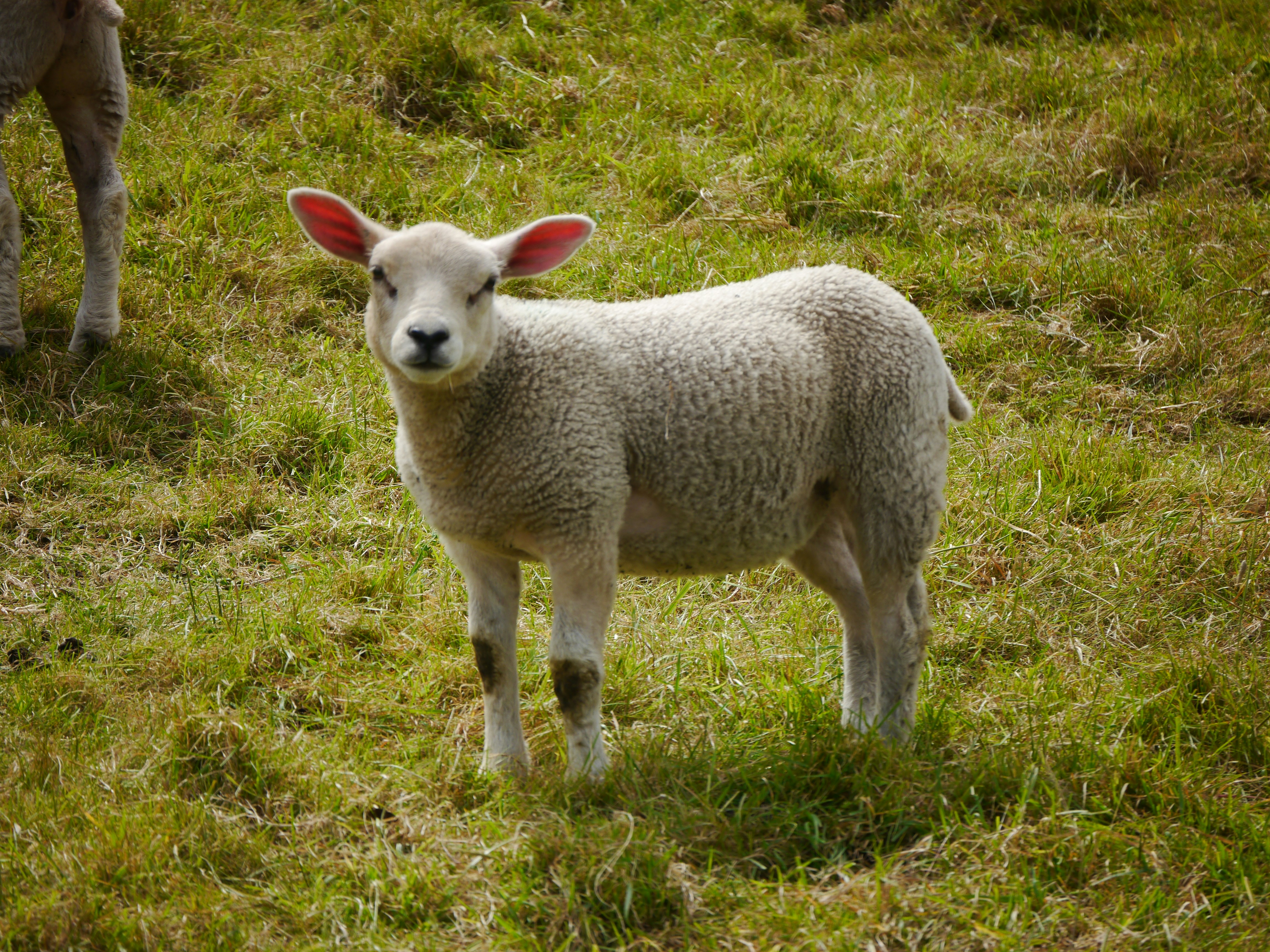 Photo by iqsphotography