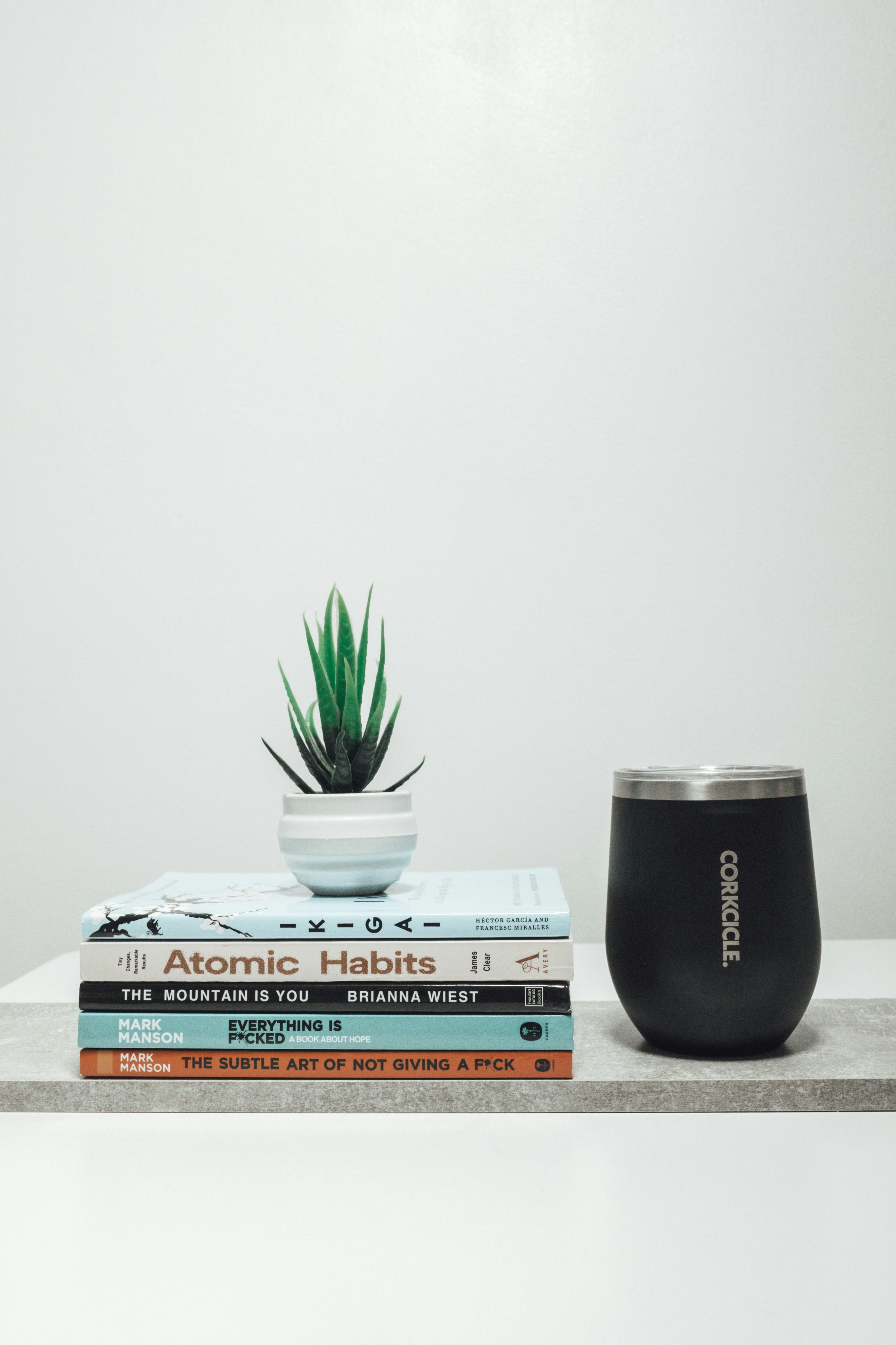 A stack of books sitting on top of a table next to a plant