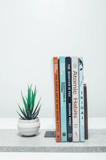 A white shelf topped with books about habits and a plant