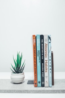 A white shelf topped with books and a potted plant