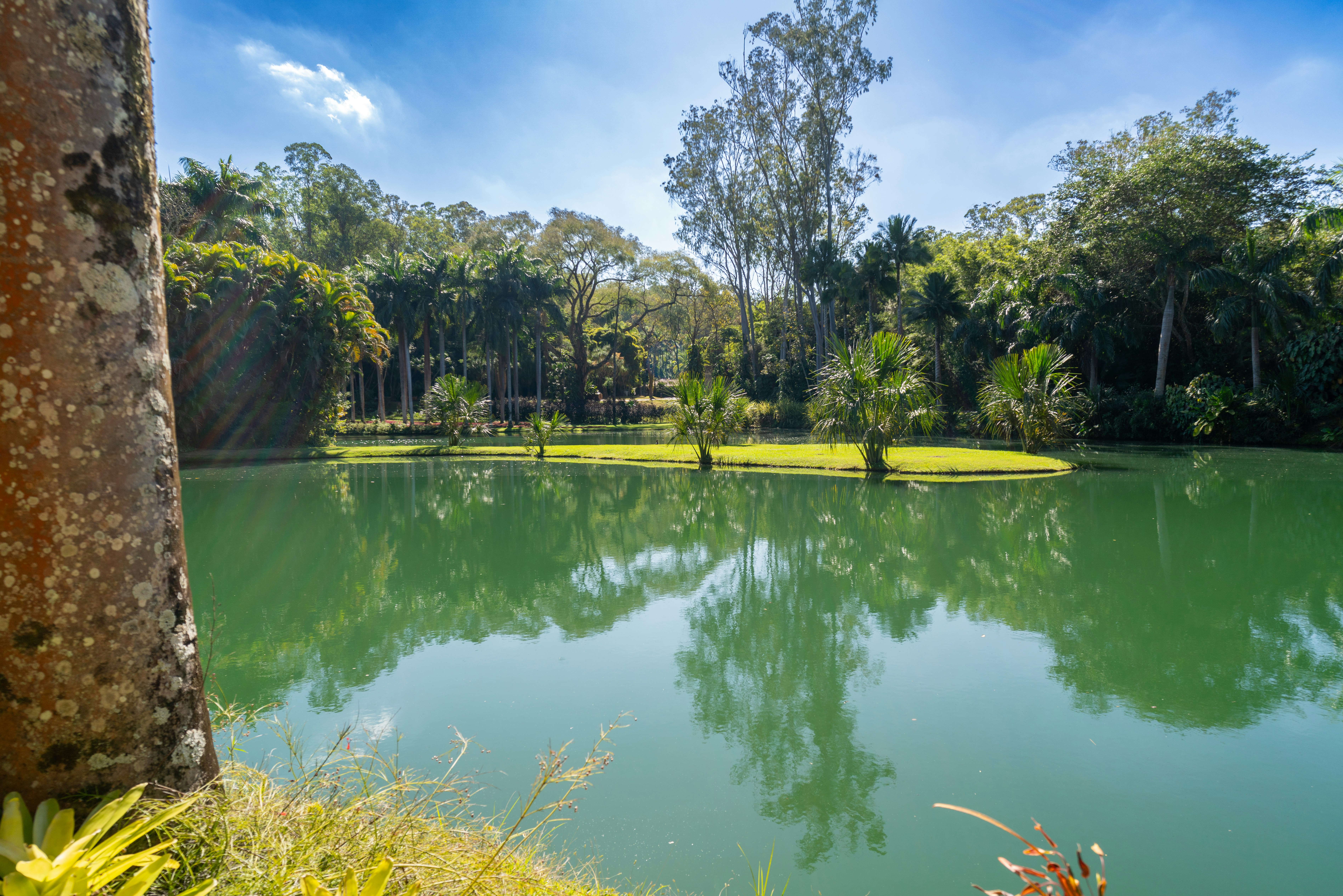 Photo by rafaelafeitos