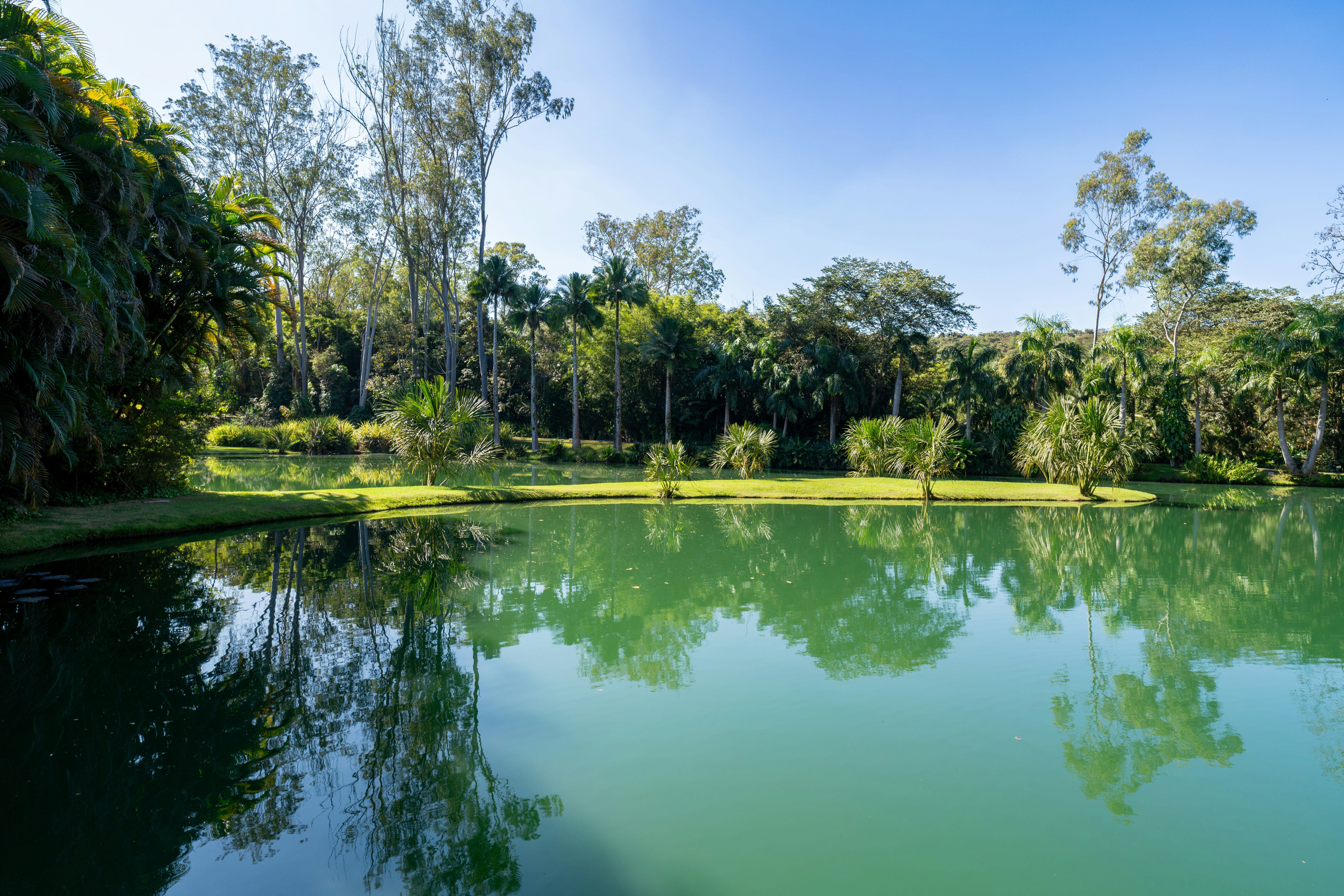 Photo by rafaelafeitos