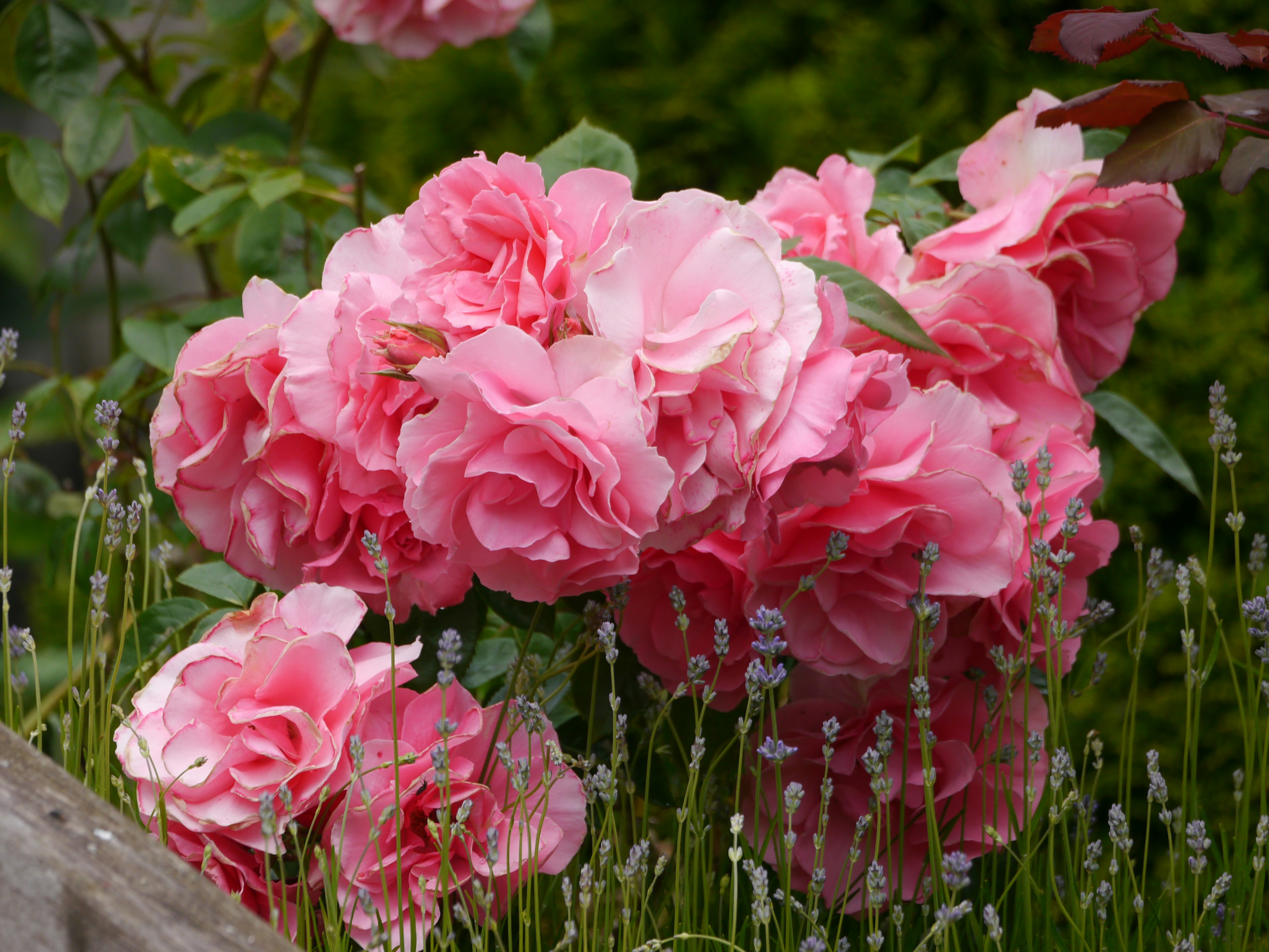 Photo by iqsphotography