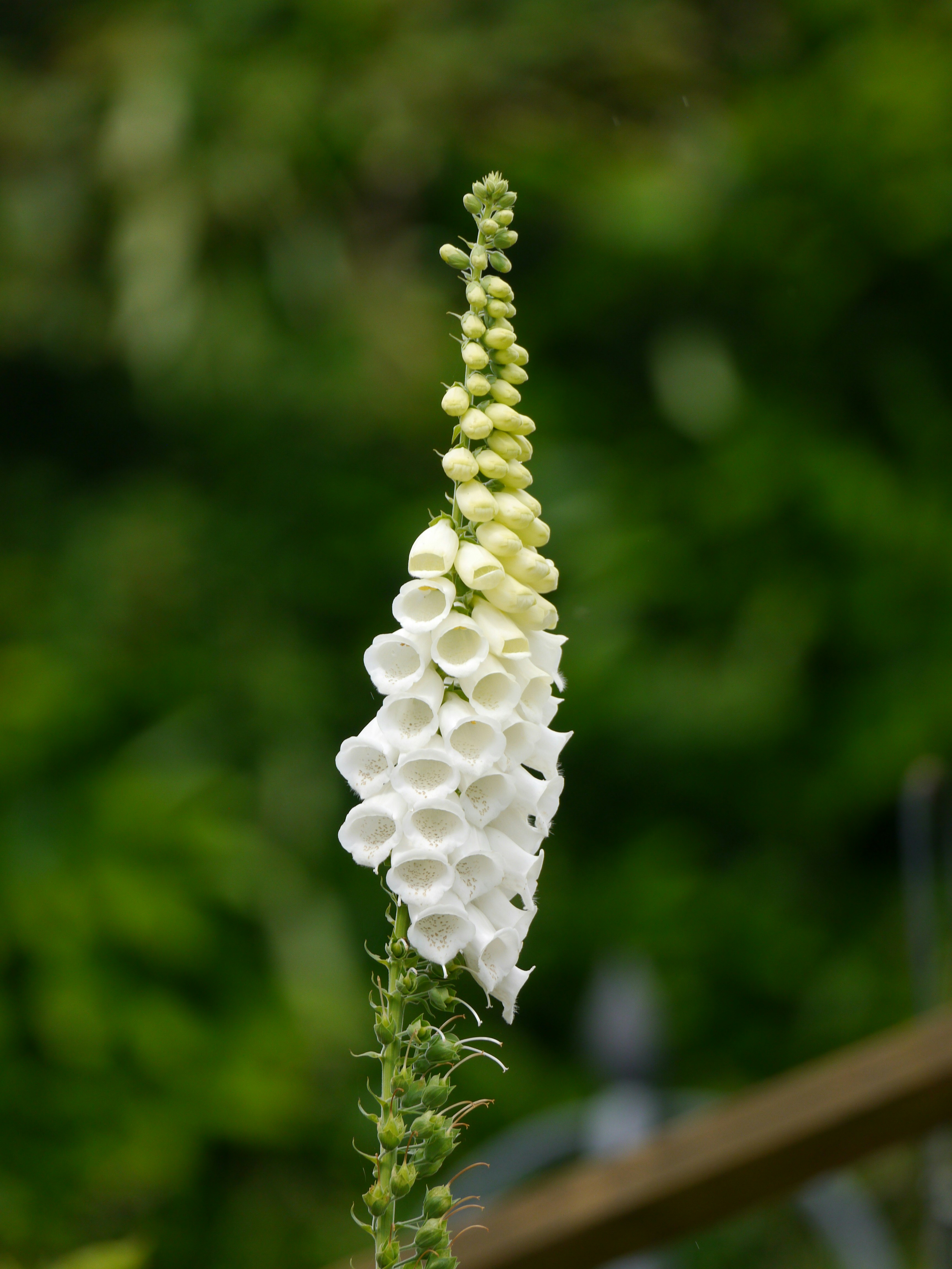 Photo by iqsphotography