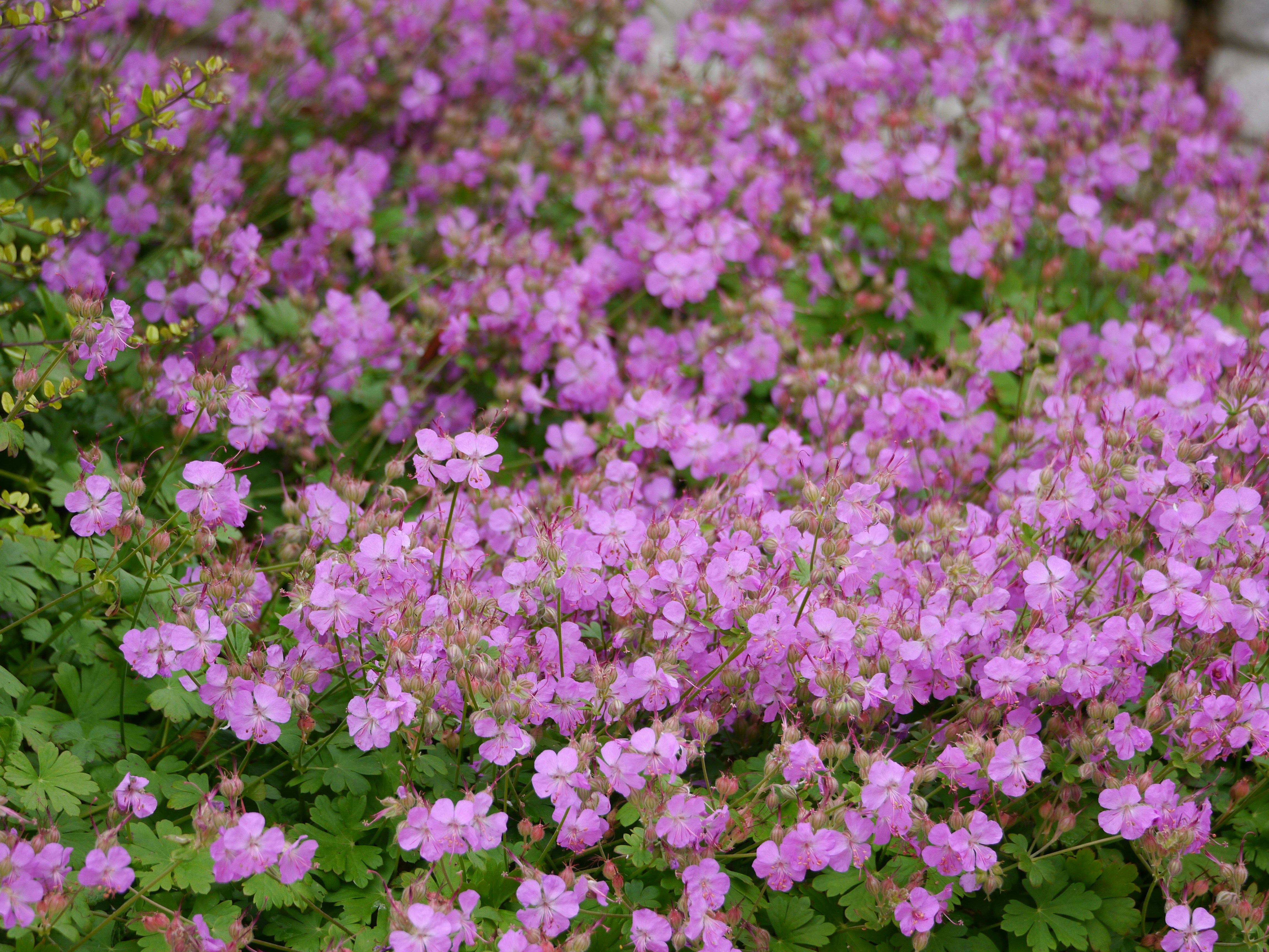 Photo by iqsphotography