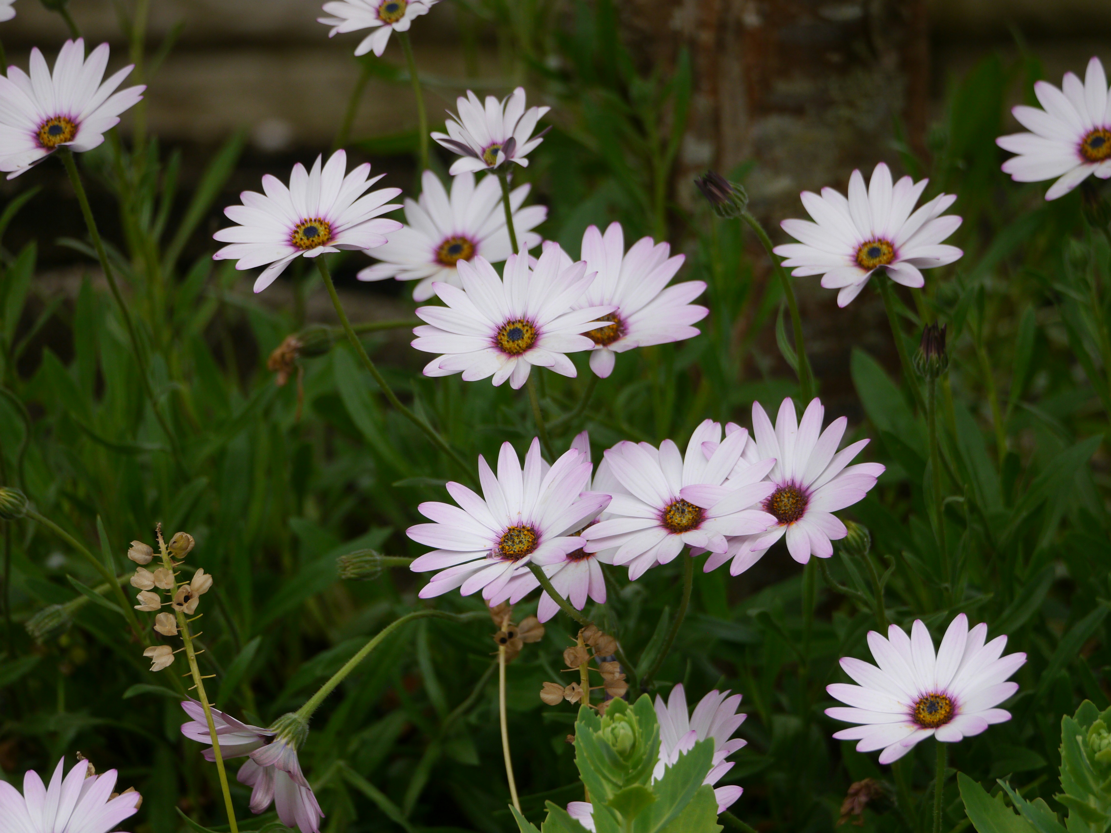 Photo by iqsphotography